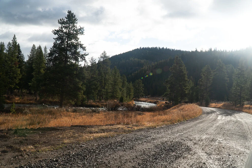 ElkhornRanchMT_Trailback-116.jpg