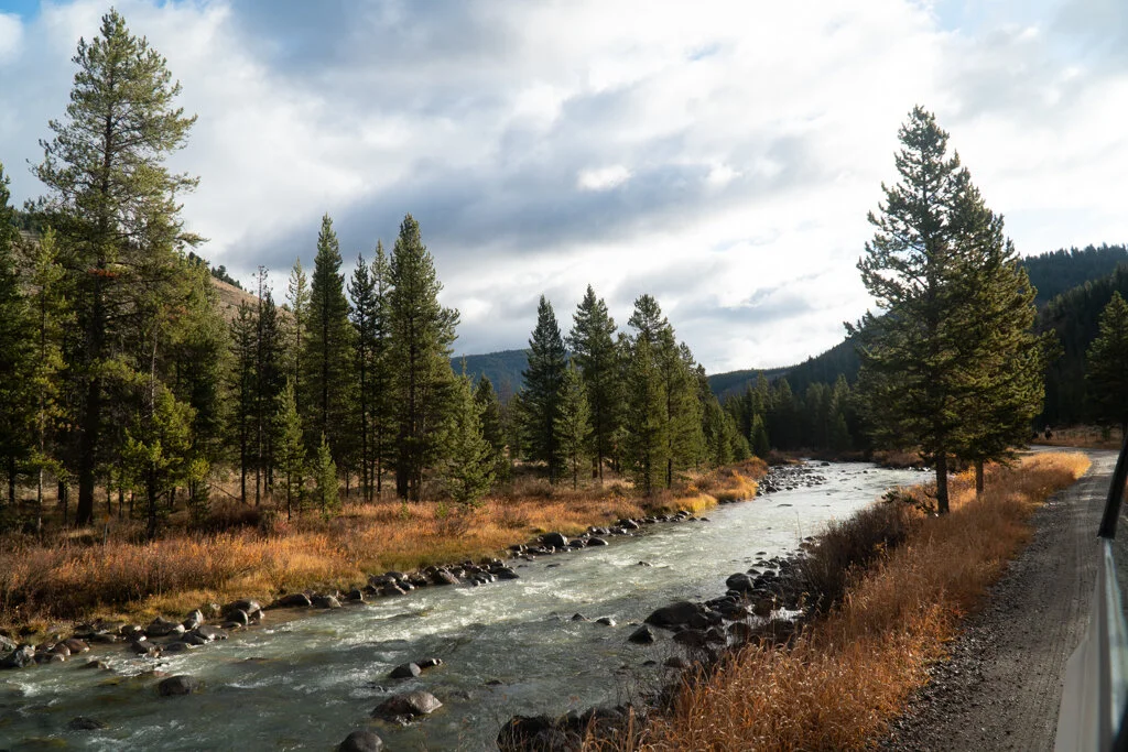 ElkhornRanchMT_Trailback-117.jpg