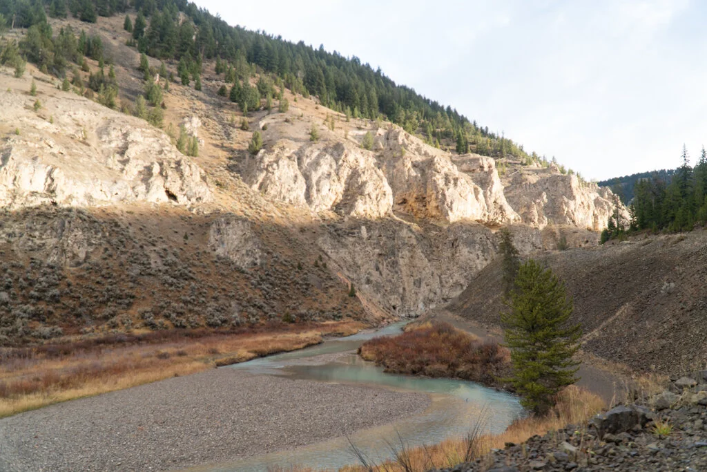 ElkhornRanchMT_Trailback-119.jpg