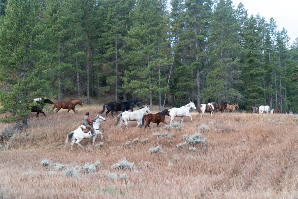 ElkhornRanchMT_Trailback-122.jpg