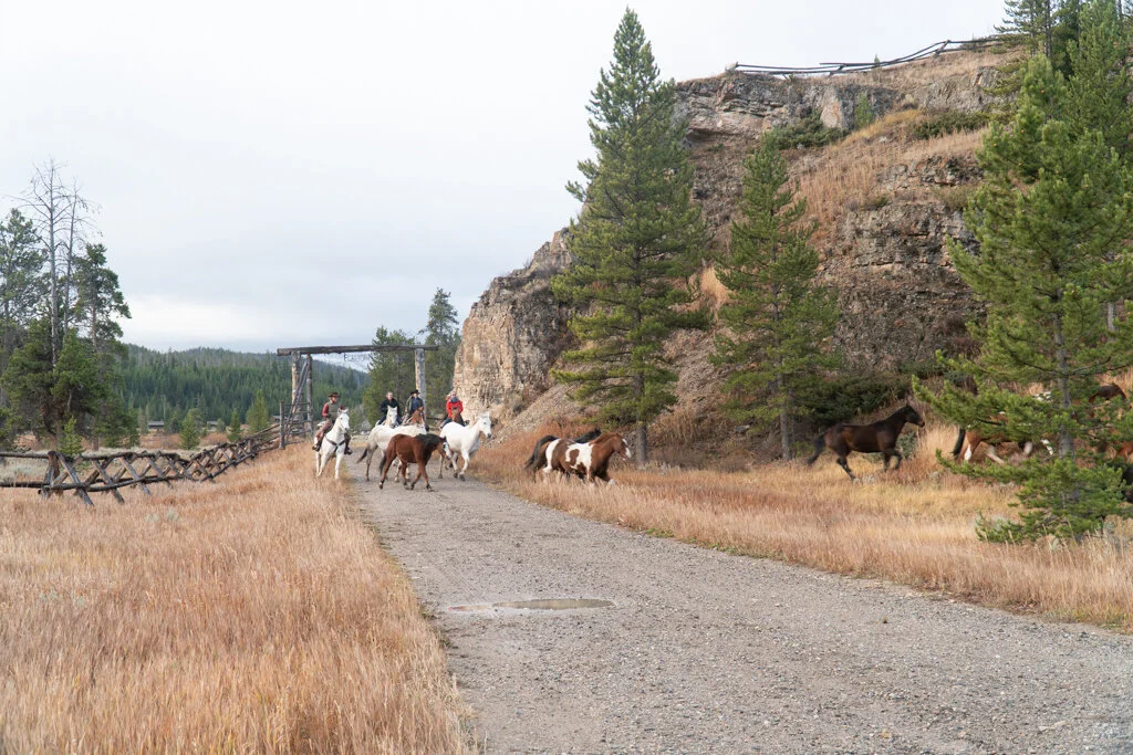 ElkhornRanchMT_Trailback-123.jpg