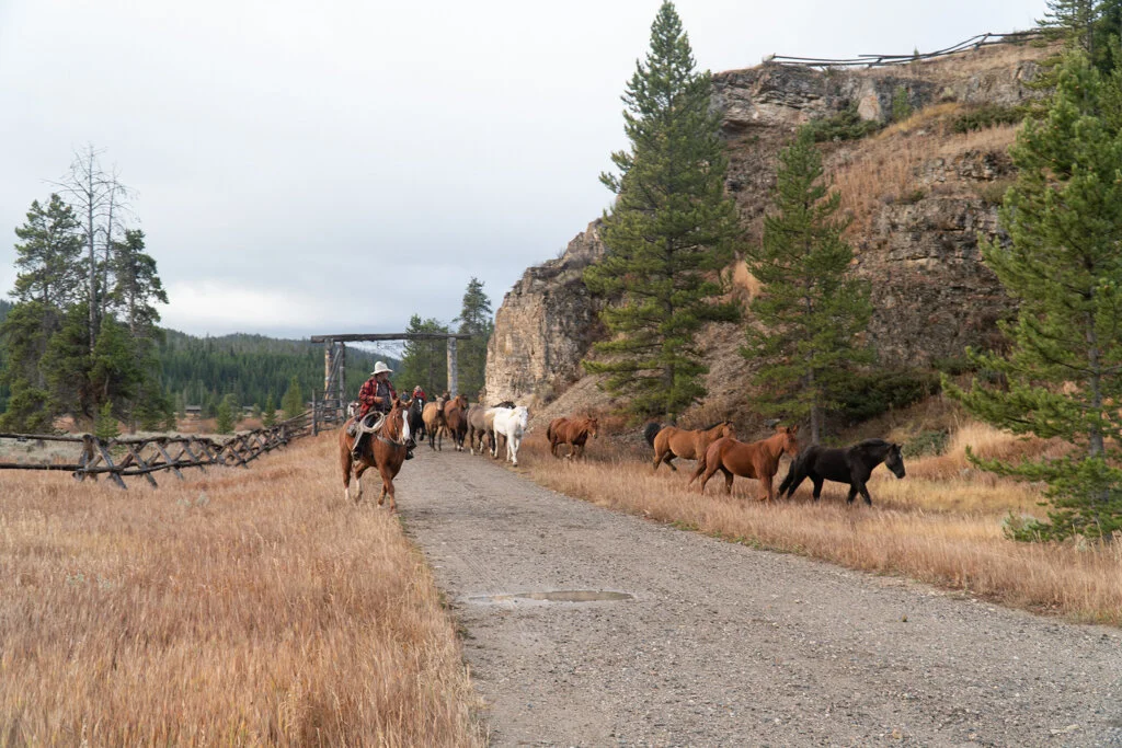 ElkhornRanchMT_Trailback-124.jpg