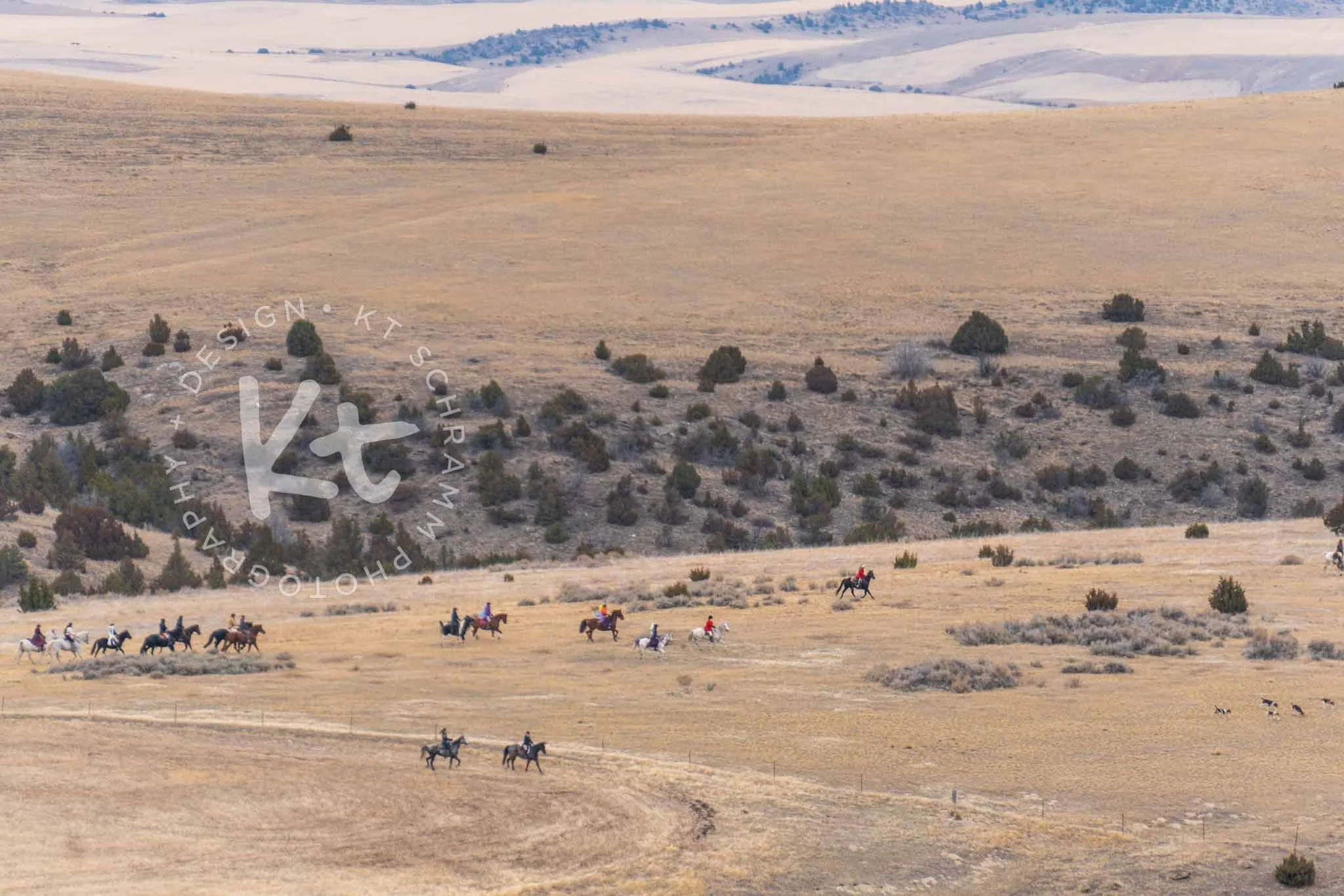 Big Sky Hounds 10.31 Hunt-0678.jpg