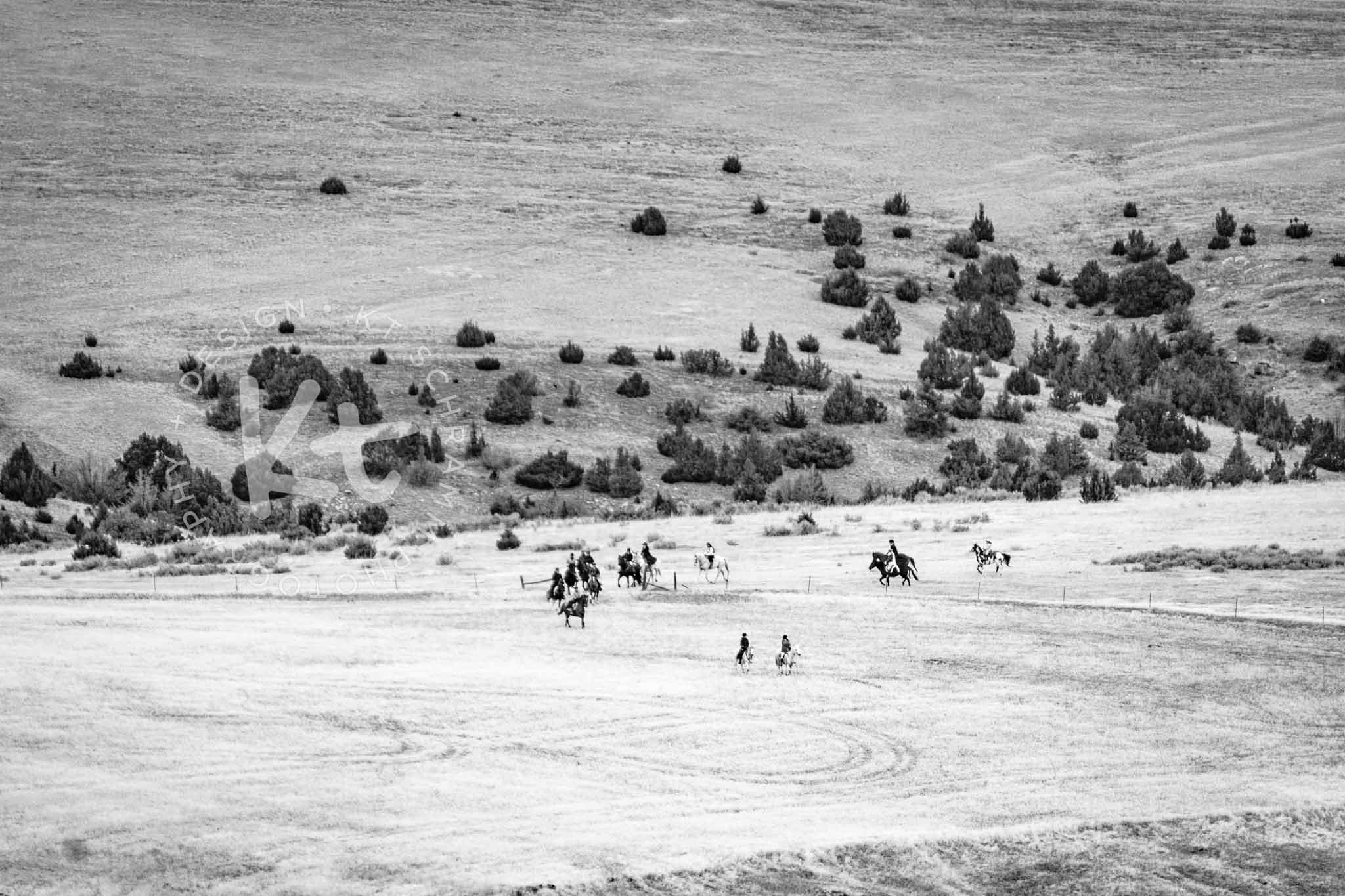 Big Sky Hounds 10.31 Hunt-0706.jpg