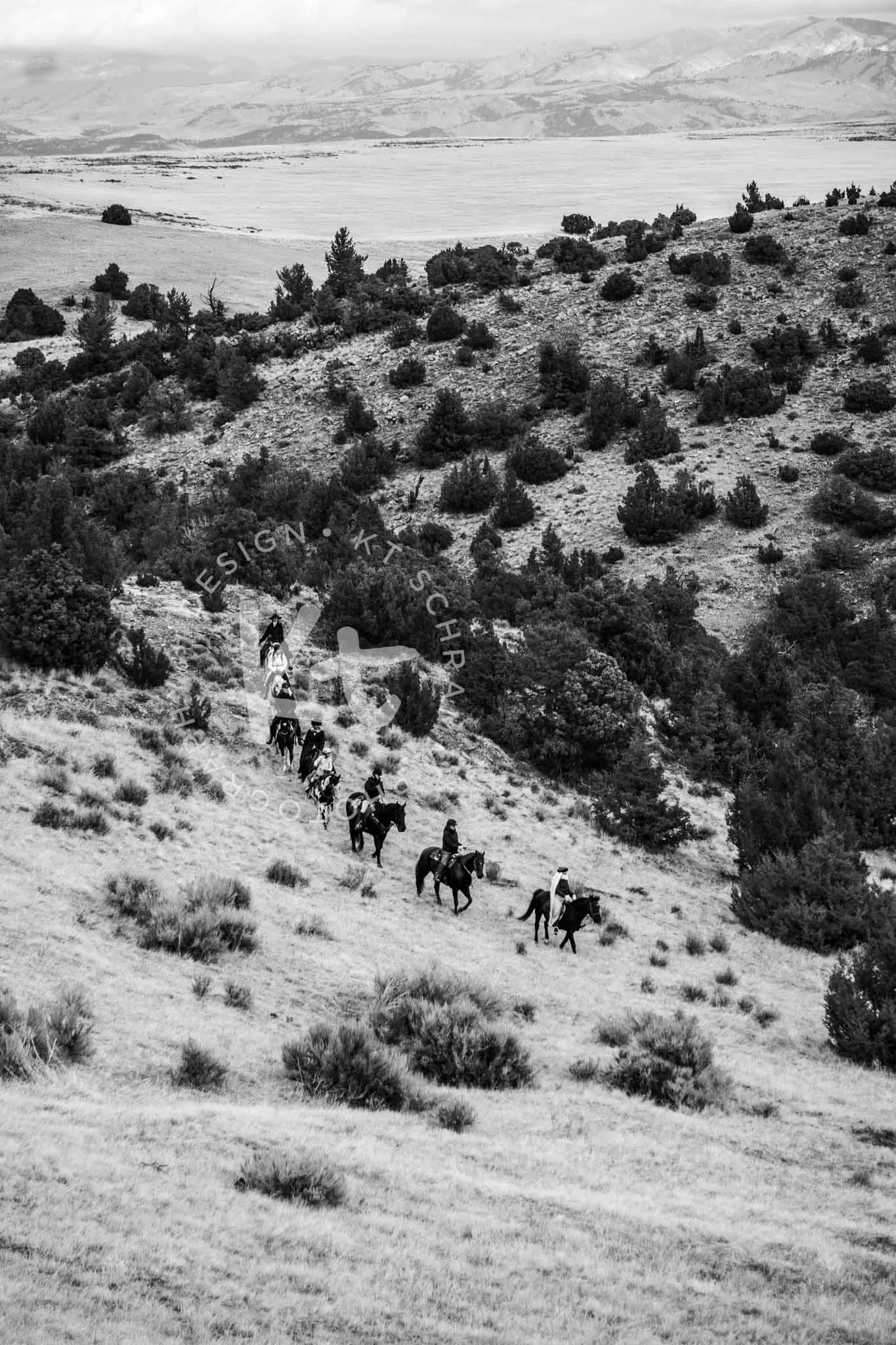 Big Sky Hounds 10.31 Hunt-1117.jpg
