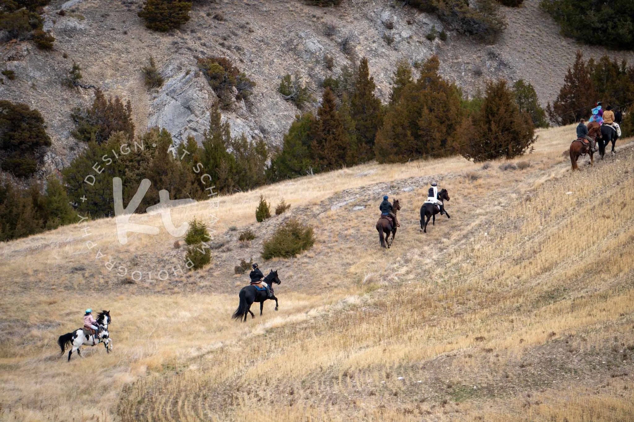 Big Sky Hounds 10.31 Hunt-1124.jpg