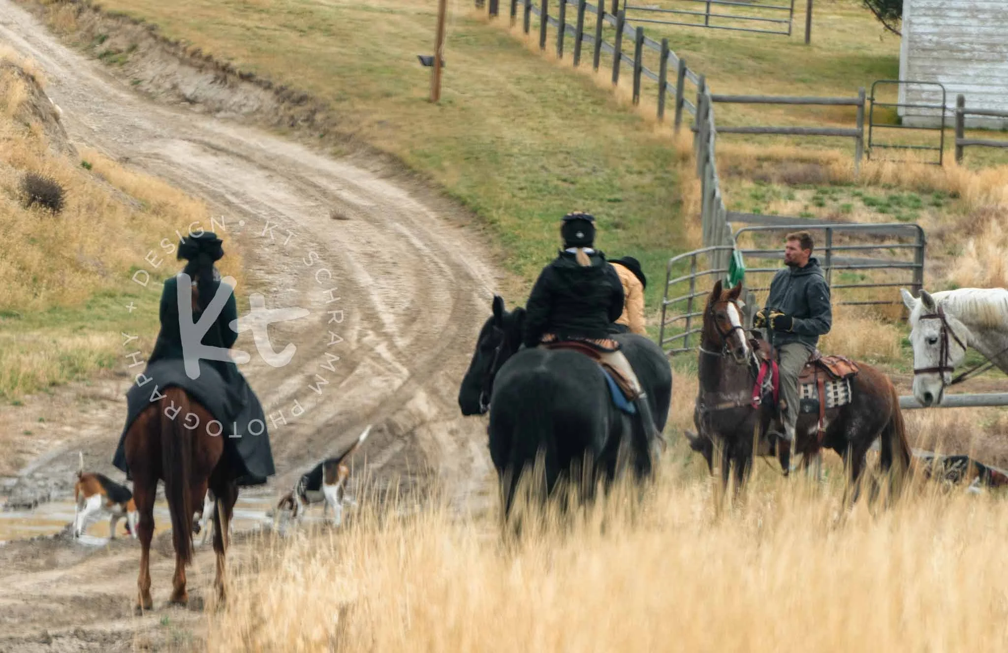 Big Sky Hounds 10.31 Hunt-1167.jpg