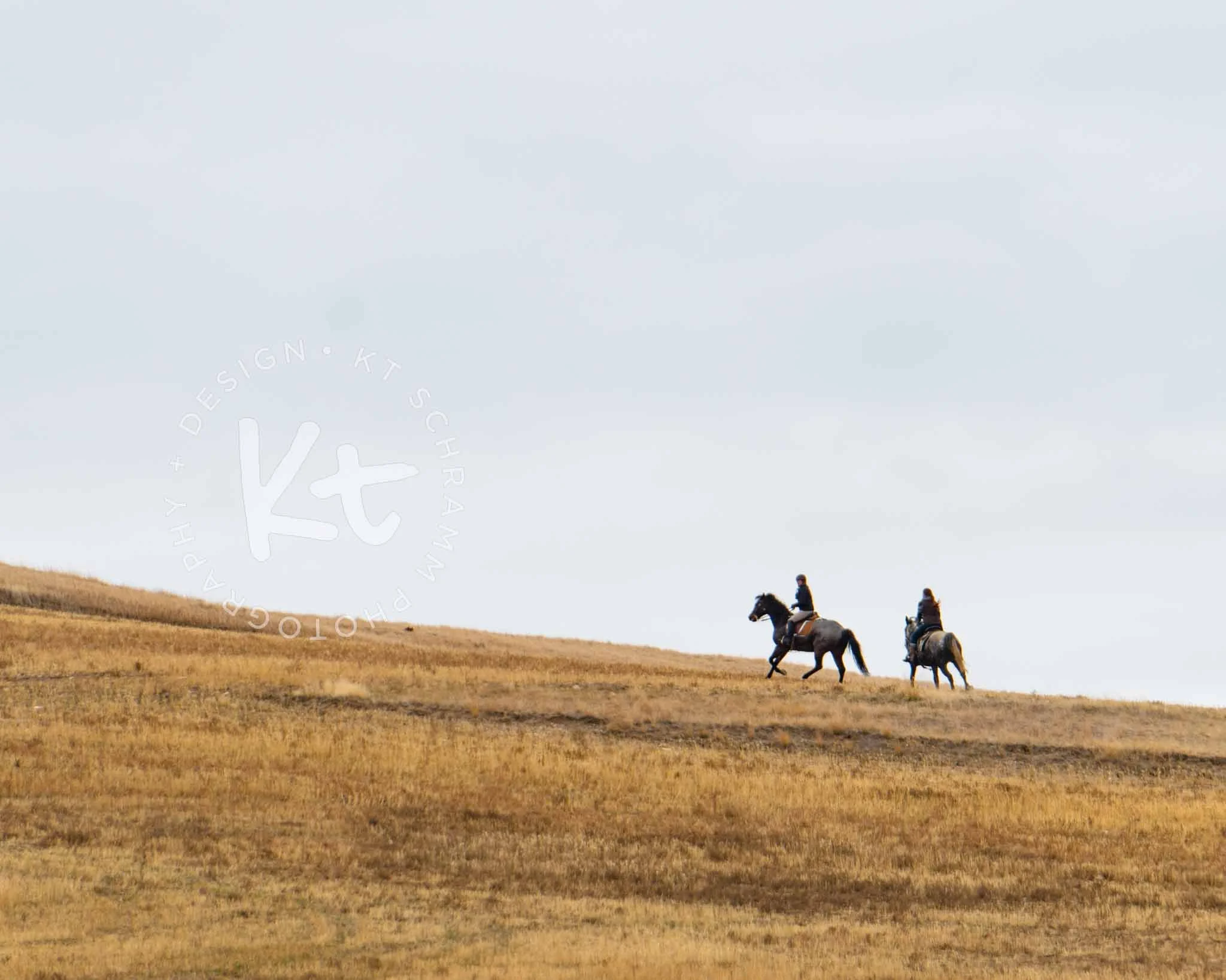 Big Sky Hounds 10.31 Hunt-1192.jpg
