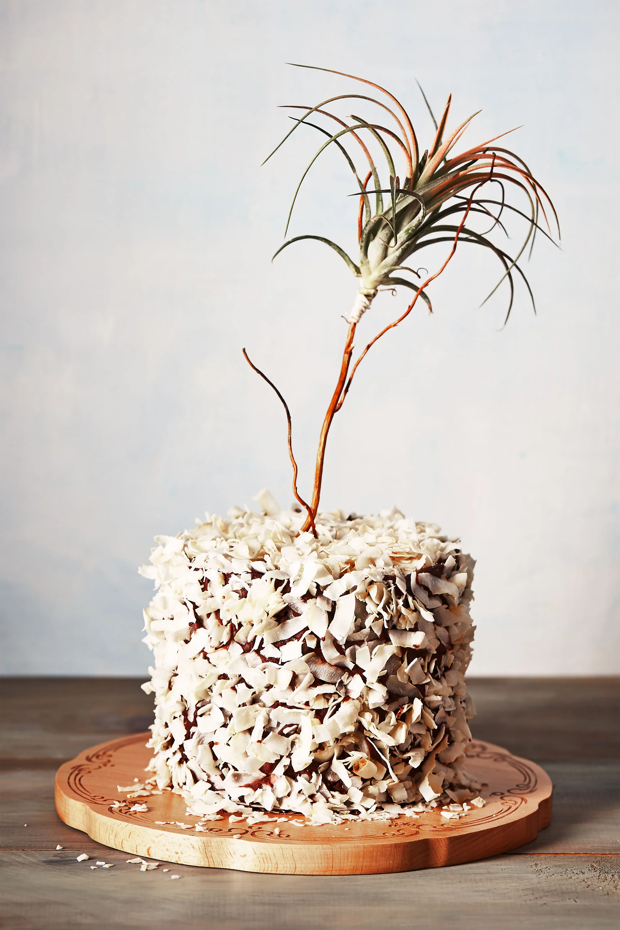cake1.jpg