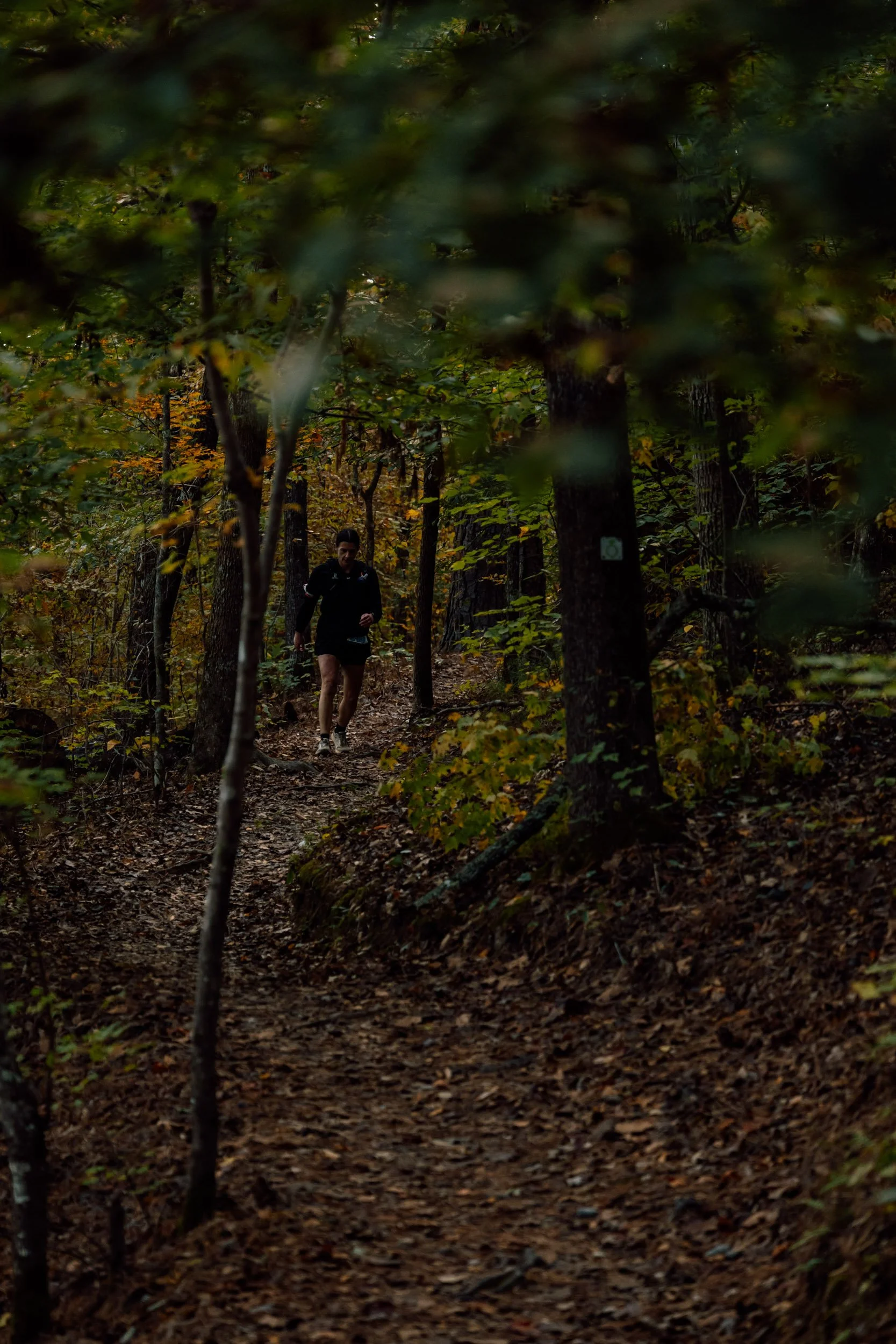 Pinhoti Day 2 - 79.jpg