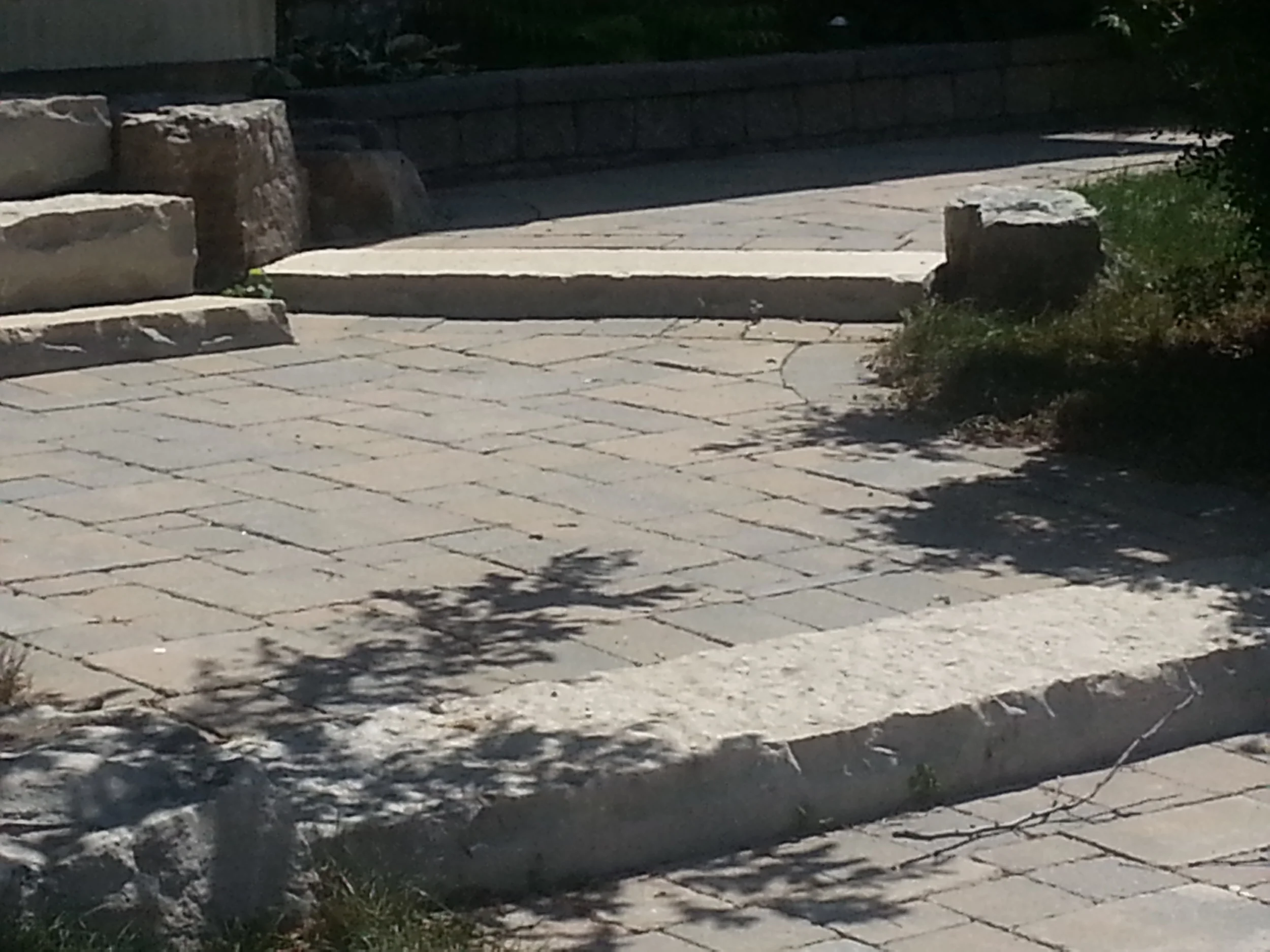 20150724_120122.jpg