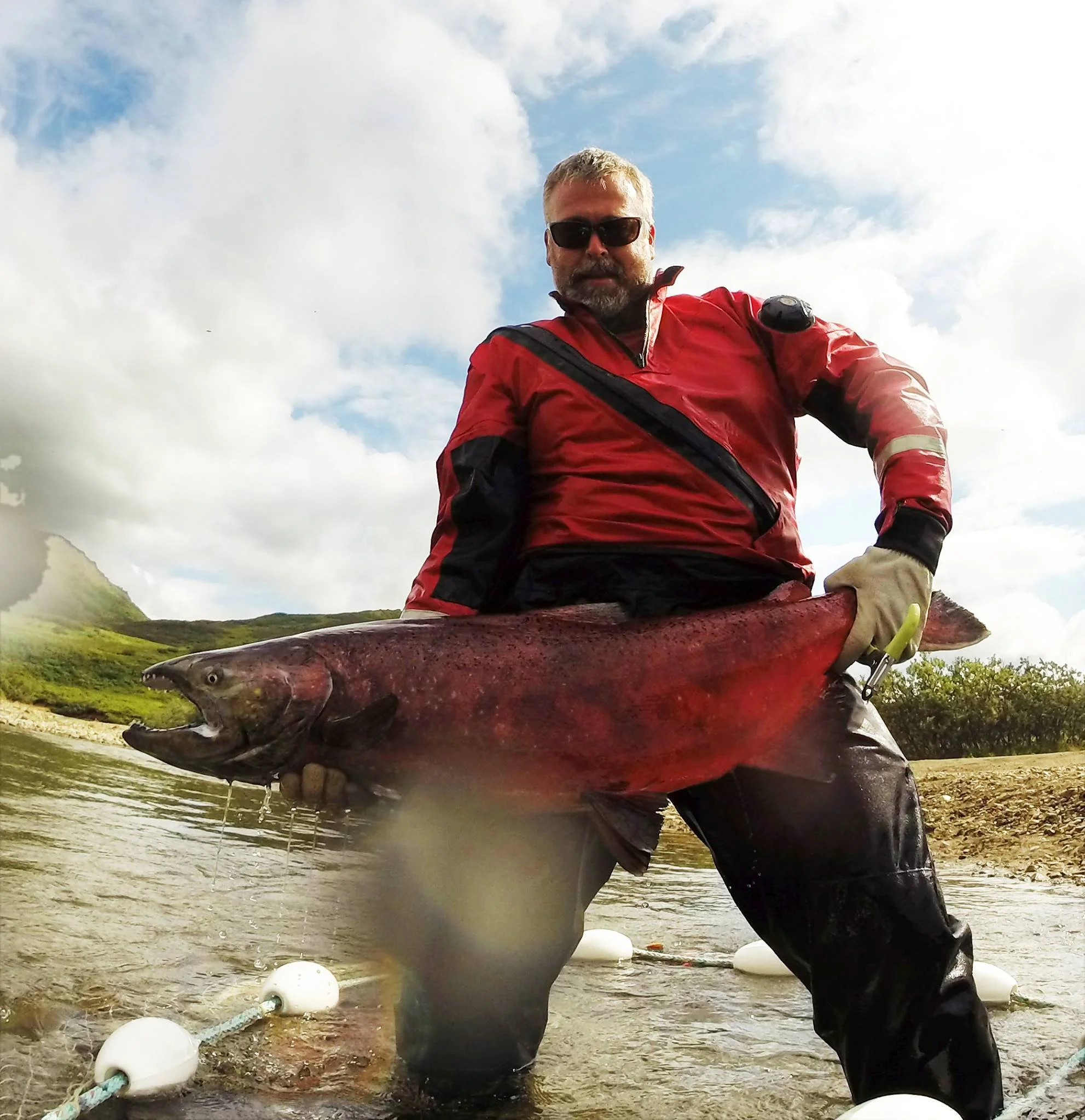 Salmon genetics has been my recent gig.