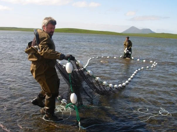 Seining for sockeye salmon on Sanak Island, population zero.