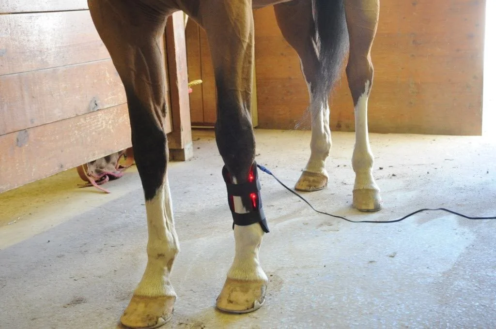 smallpad_leg.jpg