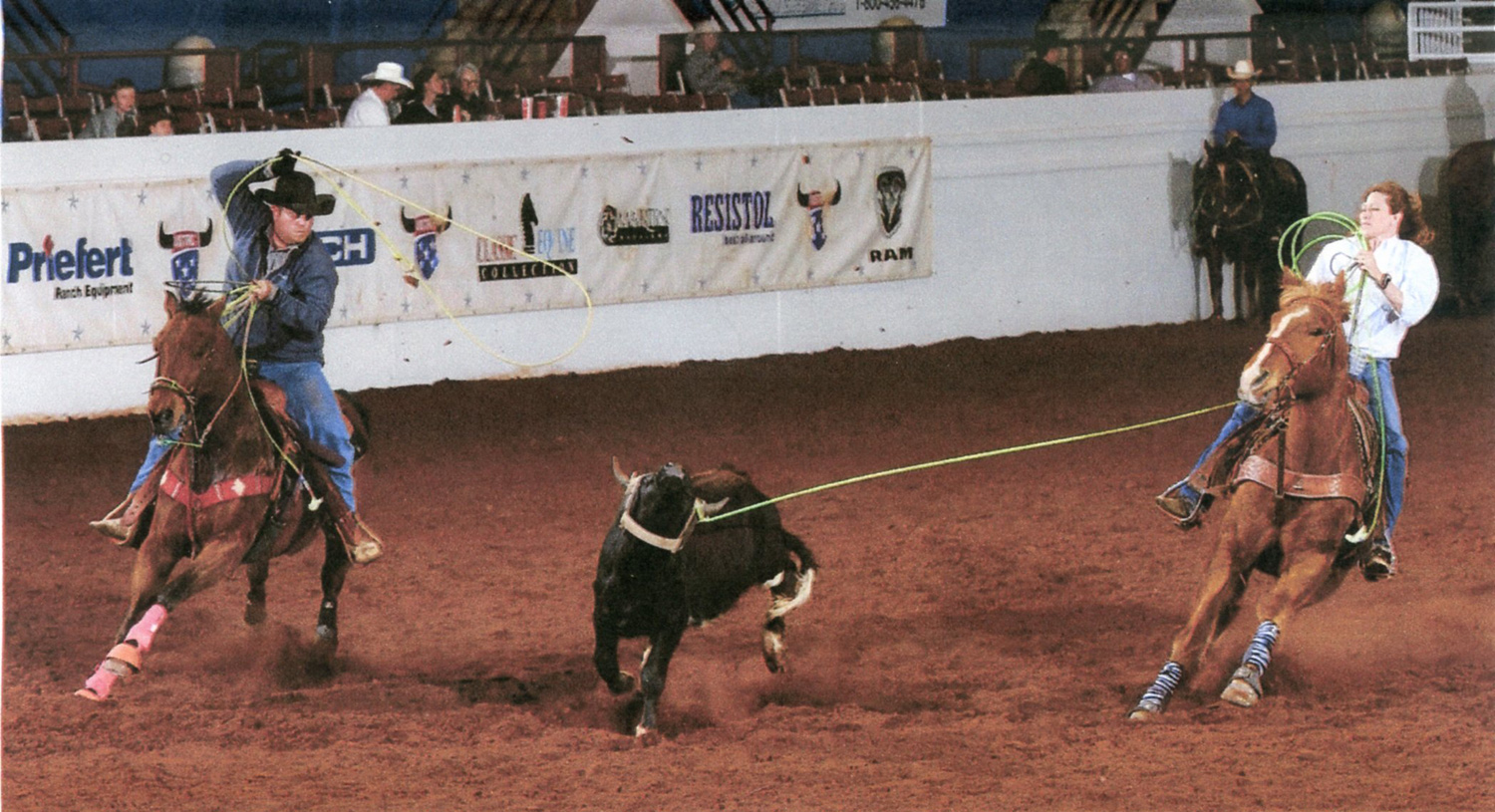 Roping horses stay in peak performance with regular Light Therapy.