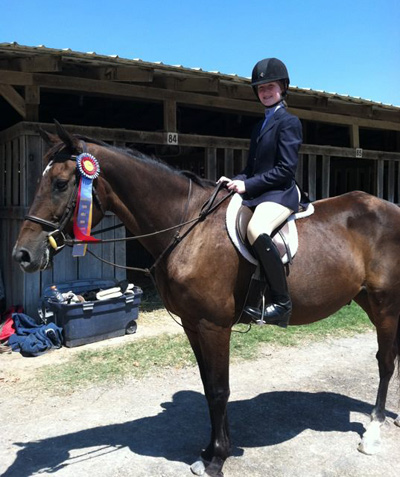 Warmblood Hunter heals fast with Equine Light Therapy after very serious stifle injuries.