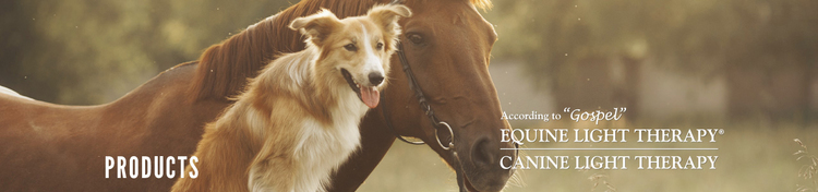 Shop Online According to quot Gospel quot Equine Light Therapy® Canine Shop Online According to quot Gospel quot Equine Light Therapy® Canine