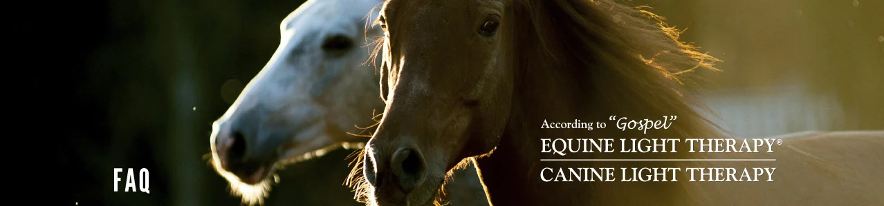Frequently Asked Questions According to quot Gospel quot Equine Light