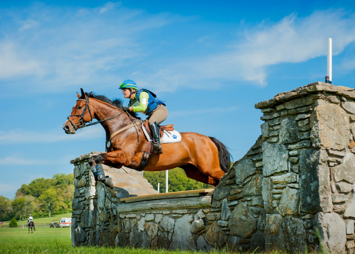 Horse make amazing recovery by using Light Therapy.
