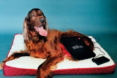 Our Medium Light Therapy pad with optional battery pack