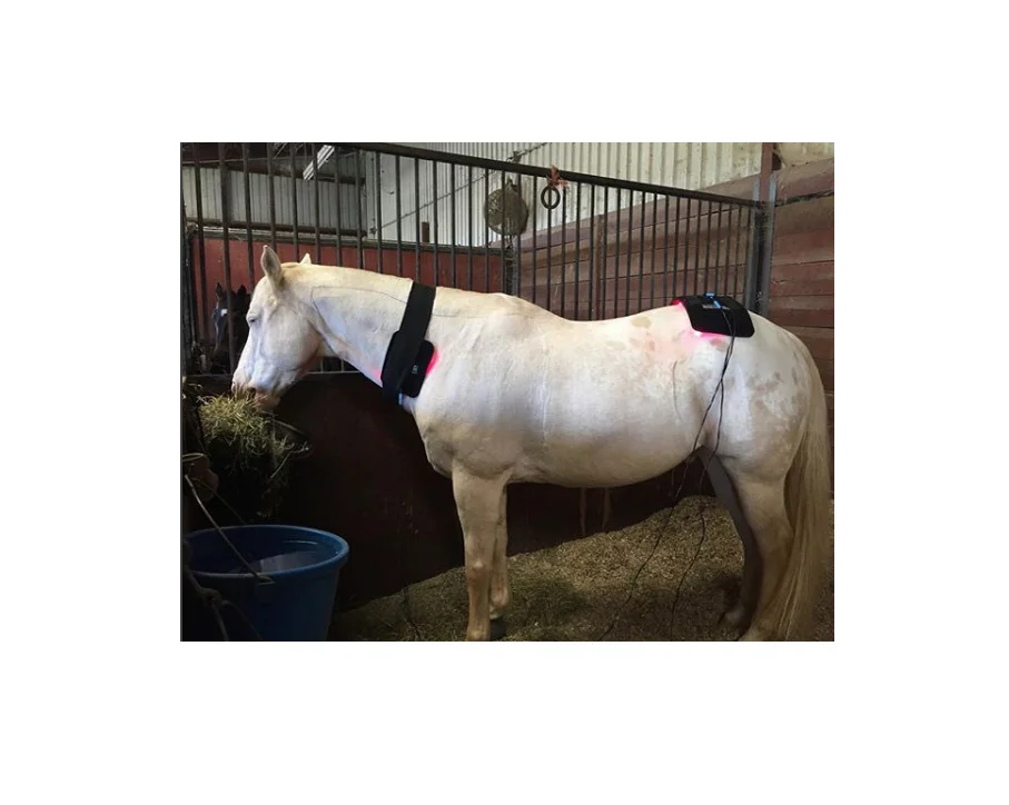 White horse_Pro Kit II copy.jpg