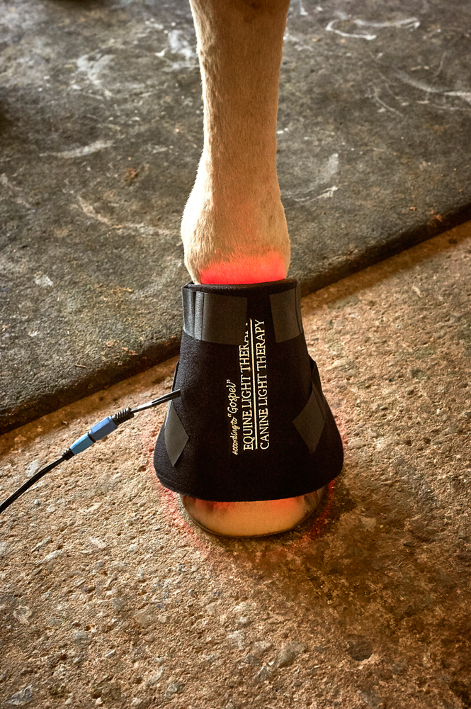 hoof_lowres_0947-IG.jpg