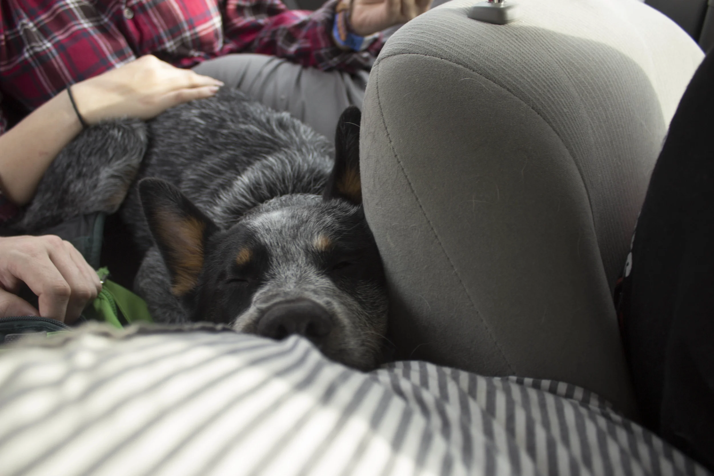 Taken with Canon T3i.