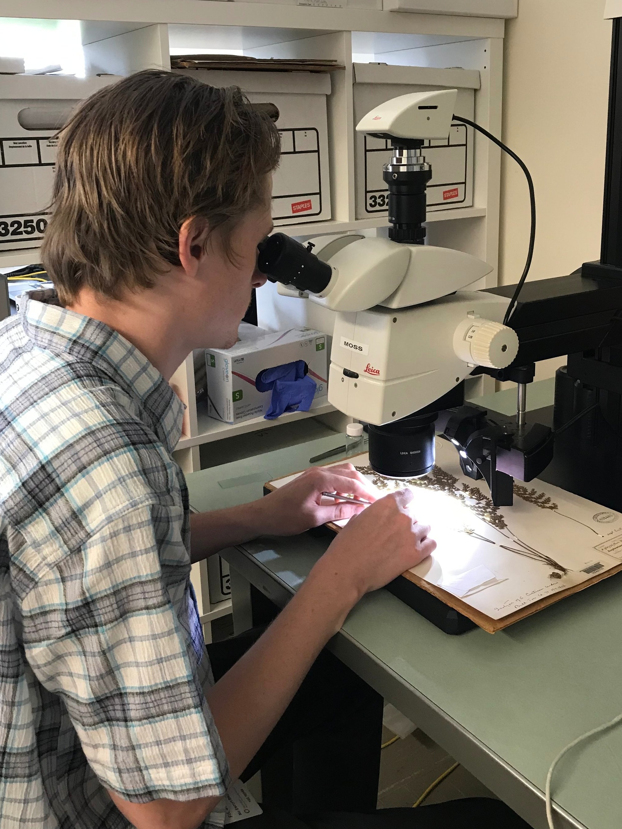 Blake Fauskee, NMNH 2019
