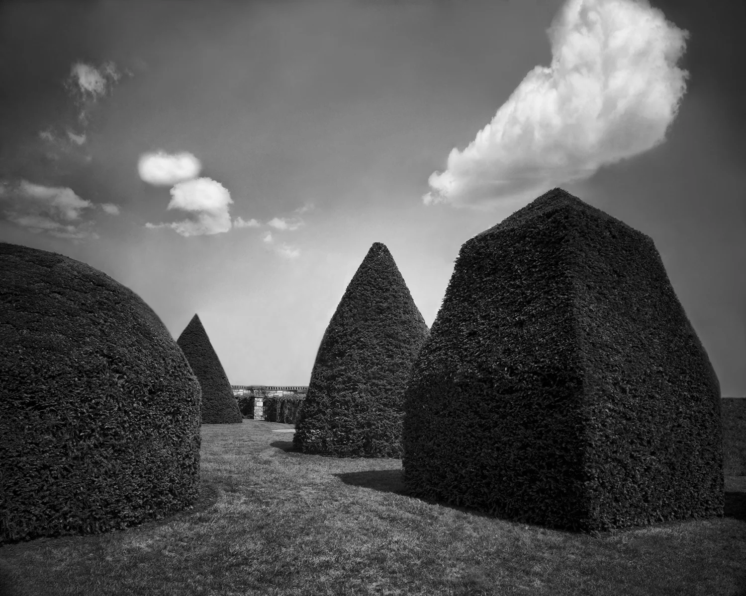 Longwood Gardens largeStudy2.jpg