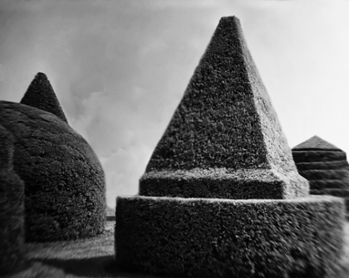 HAK_Topiary18.jpg