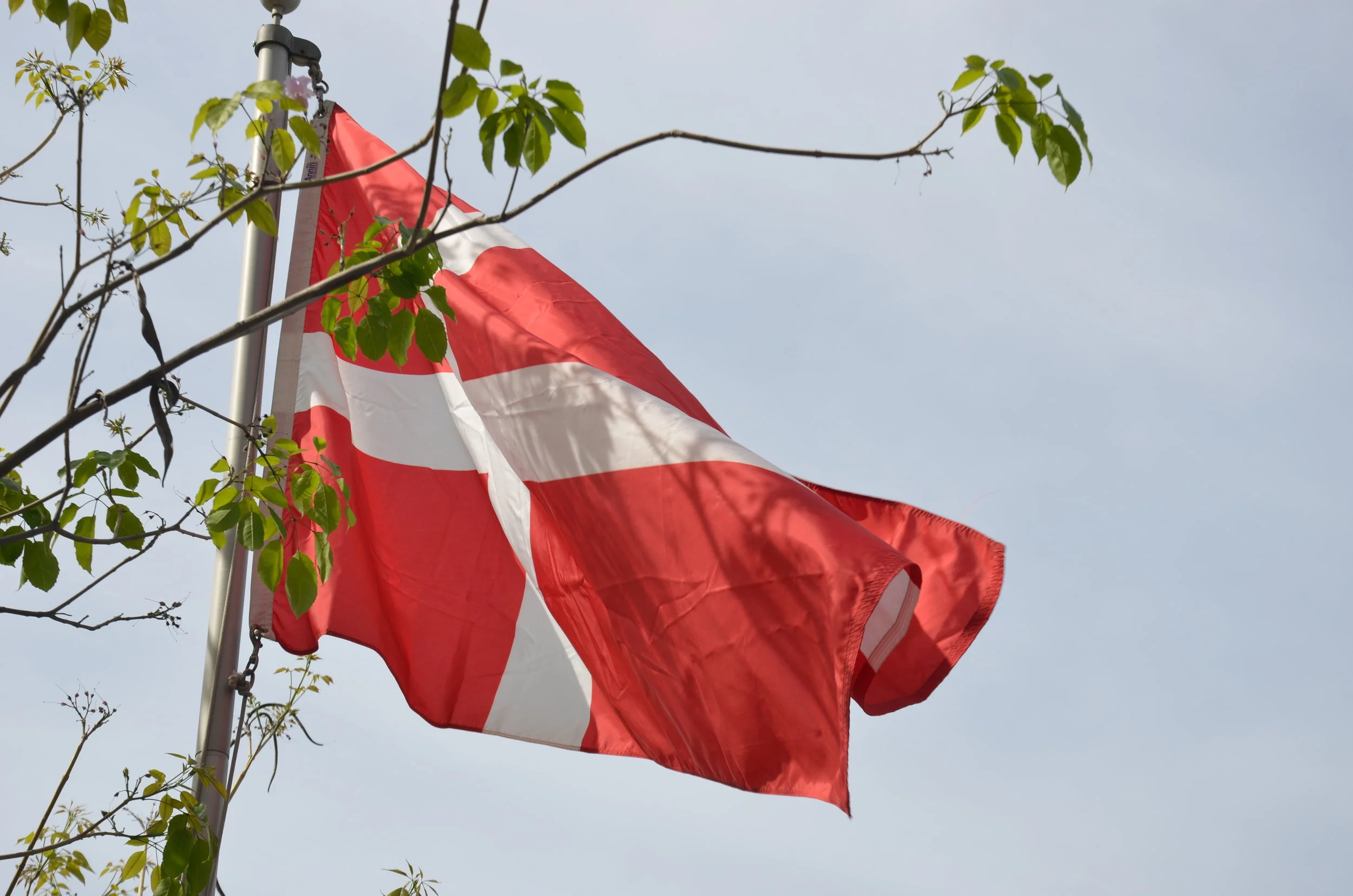 Danish Service 3 pm 