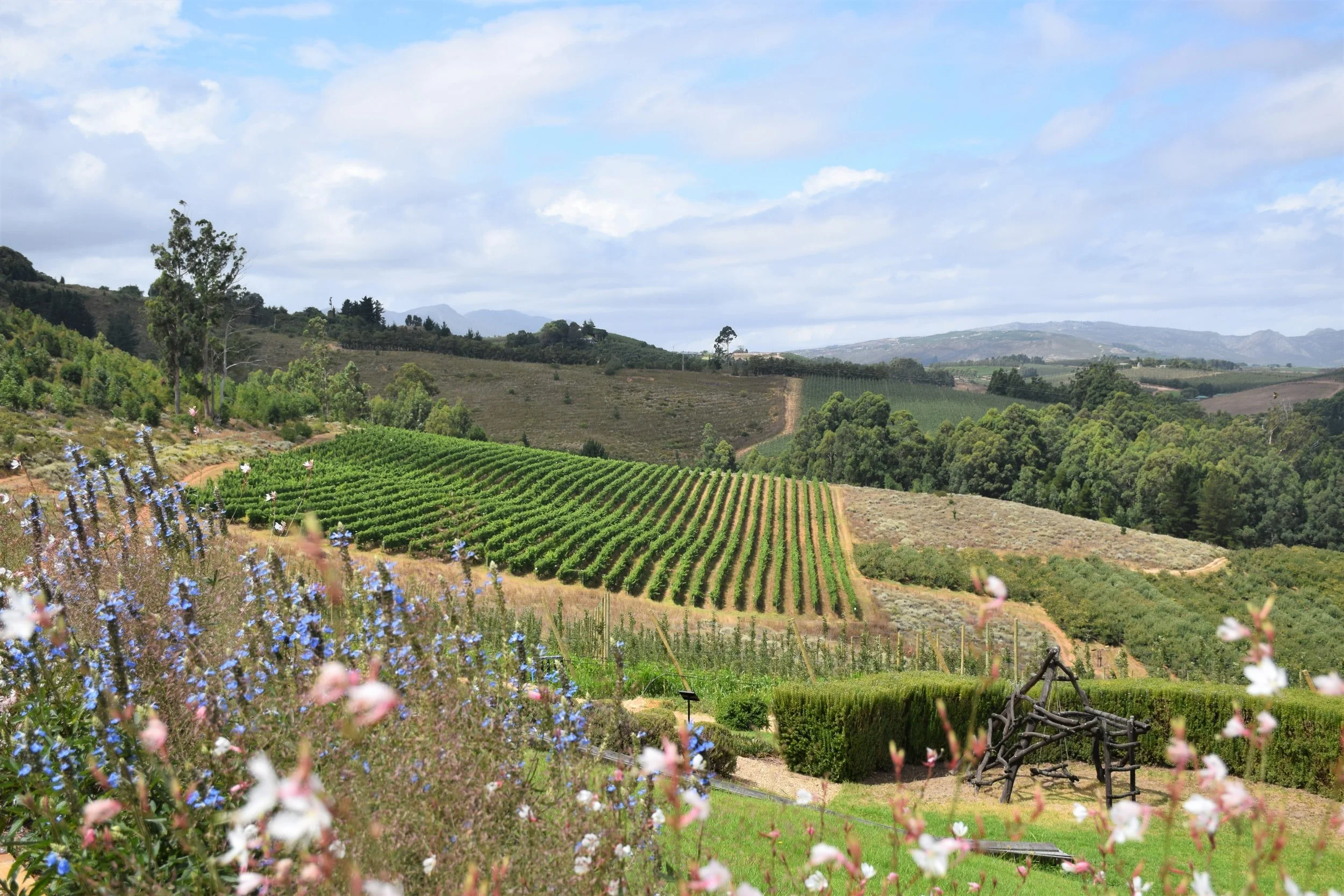 May 7 Wine Tasting with Sjoblom at 7 pm 