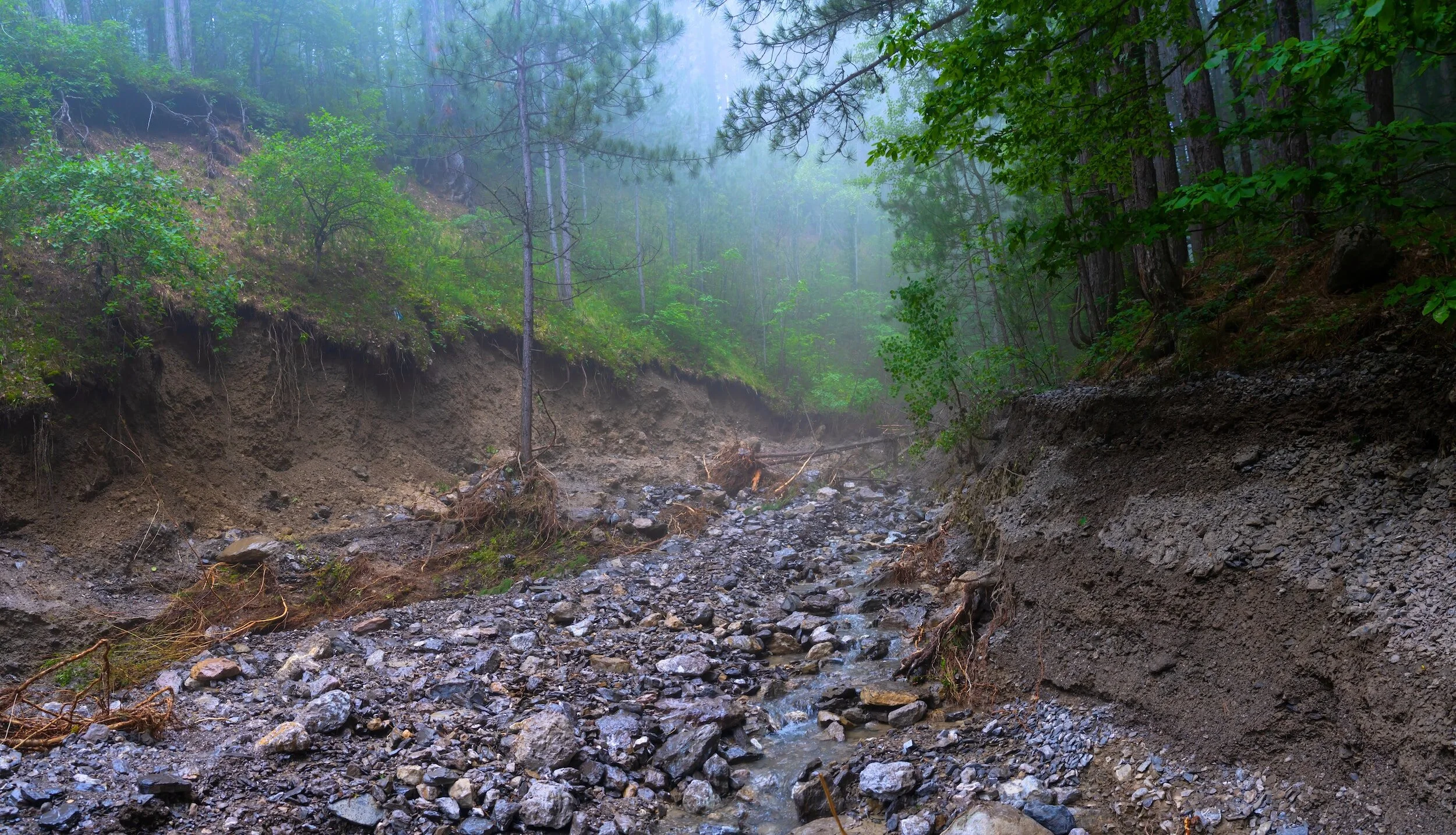 Landslides