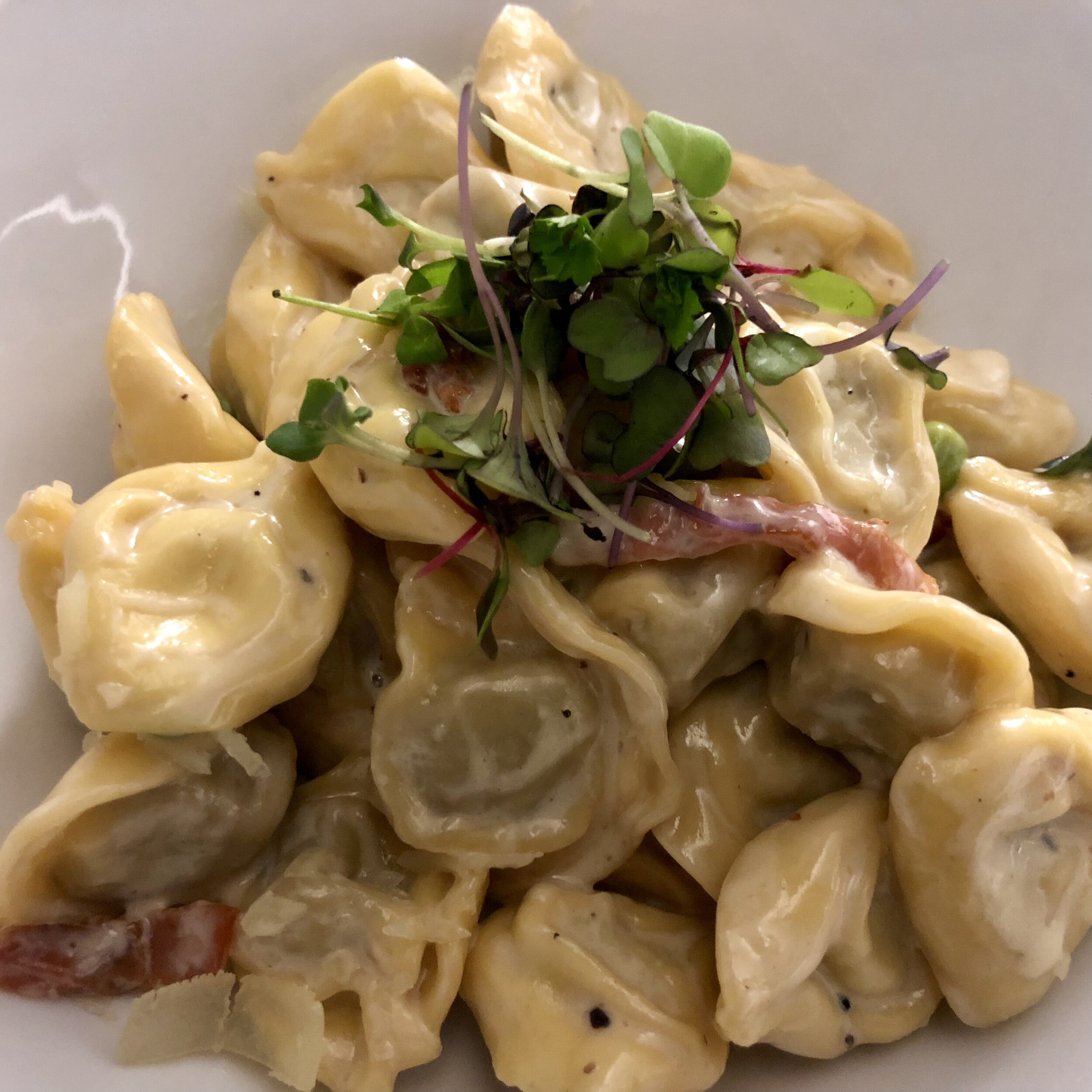 Tortellini 1.jpg