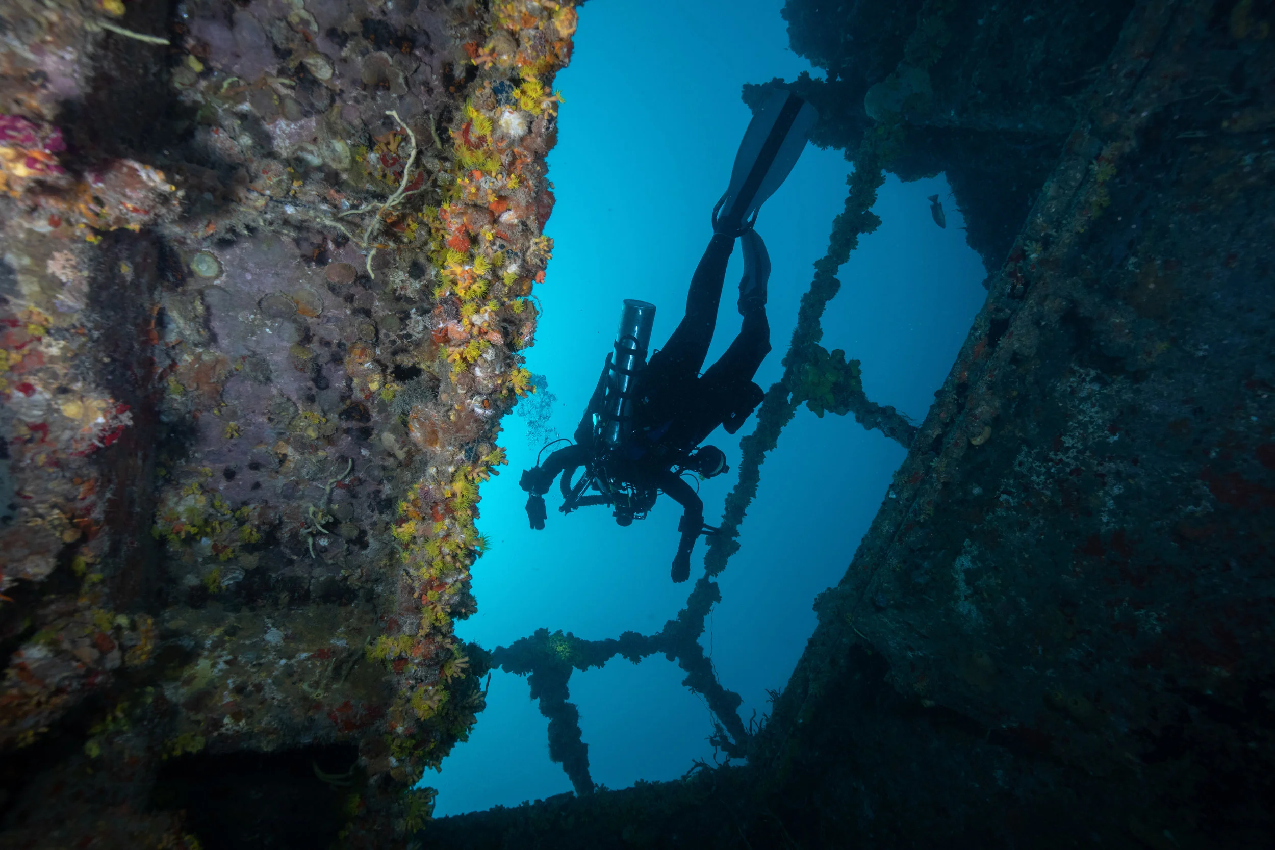 diver.jpg