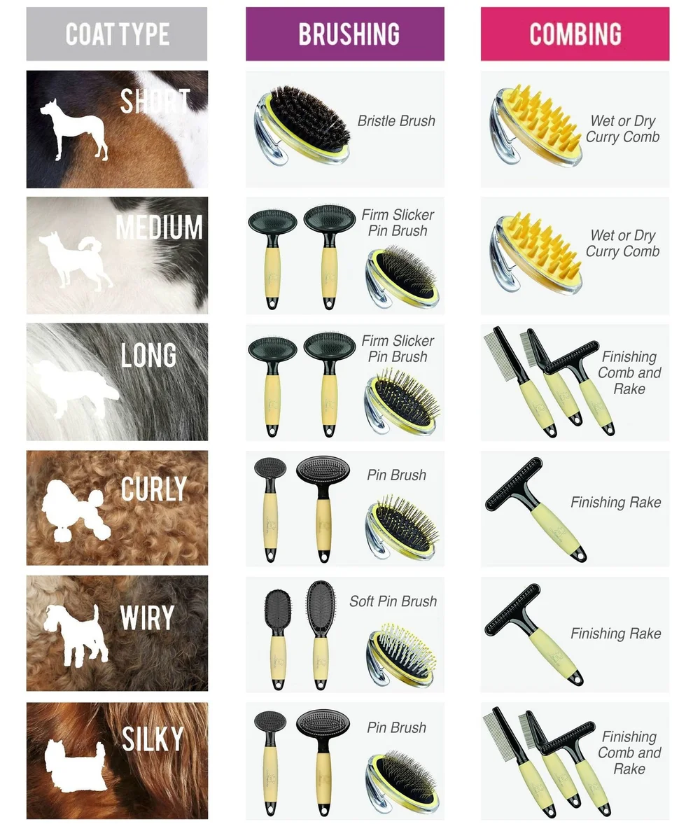 Dog Types Of Brushes