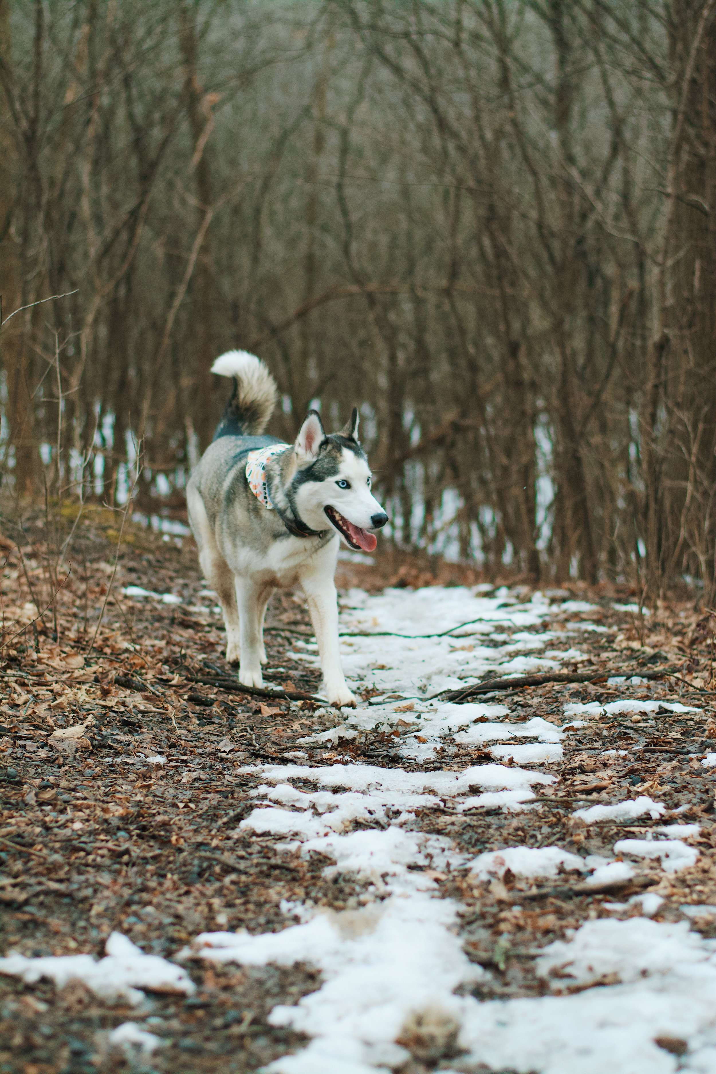 DSC_6624 (2).jpg