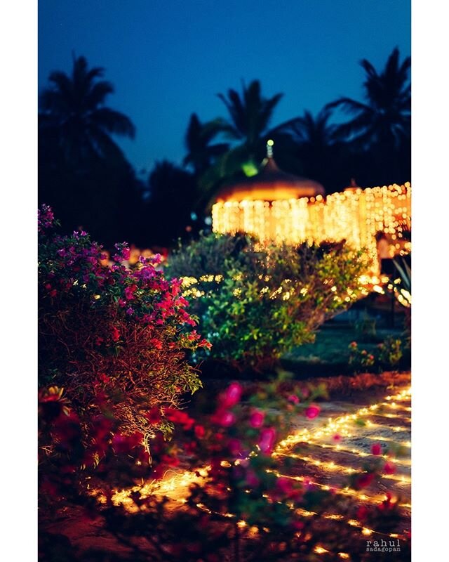 Light bulbs, bougainvillea &amp; a blue sky!

#rahulsadagopan #studiophotoscape #decor #weddingdecor #bougainvillea #bluesky #lightbulbs #fairylights #courtyard #garden #bokeh #weddinginspiration #weddingdecoration #destinationwedding #plants #shrubs