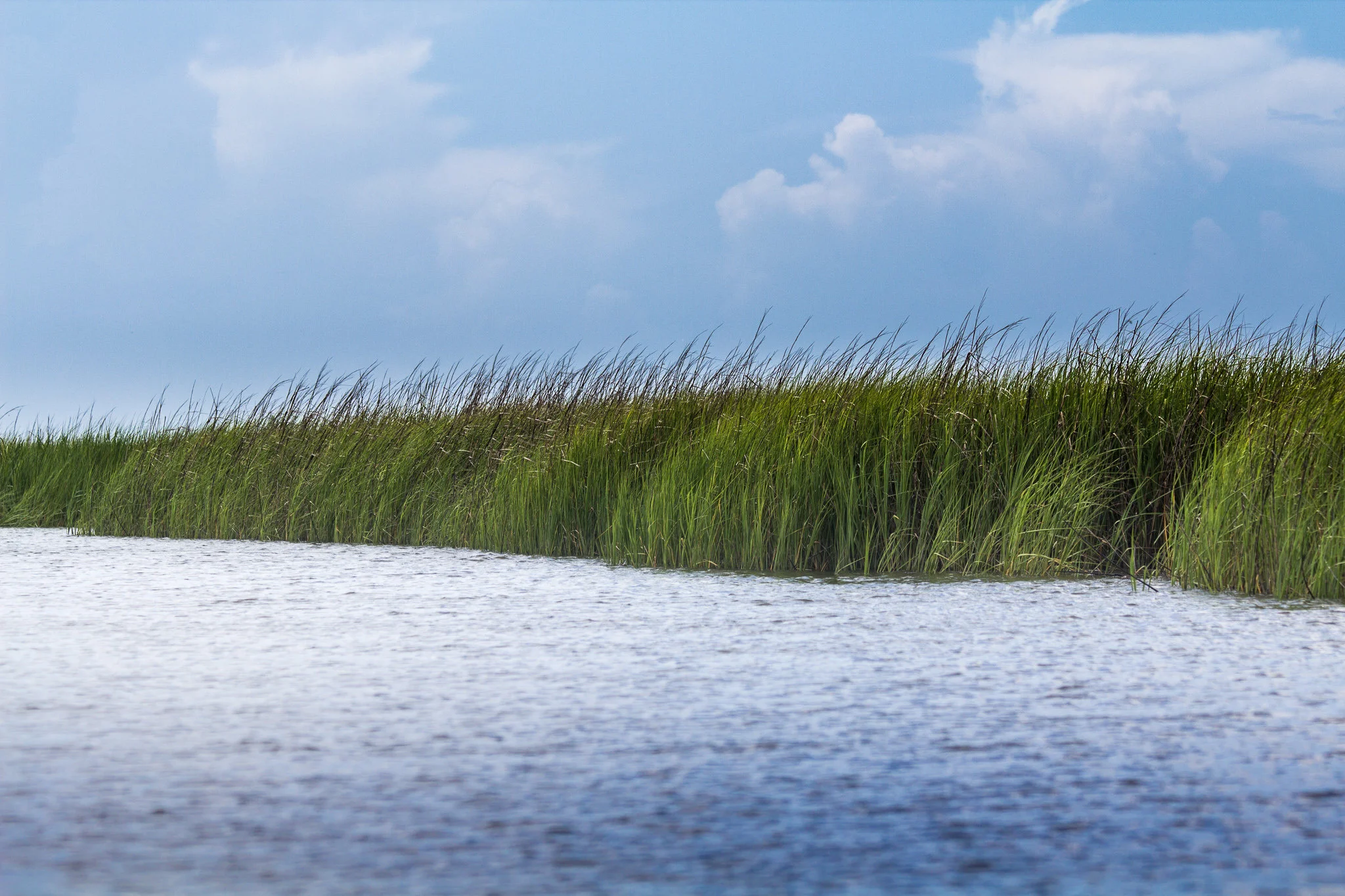 Shem Creek-0004.jpg