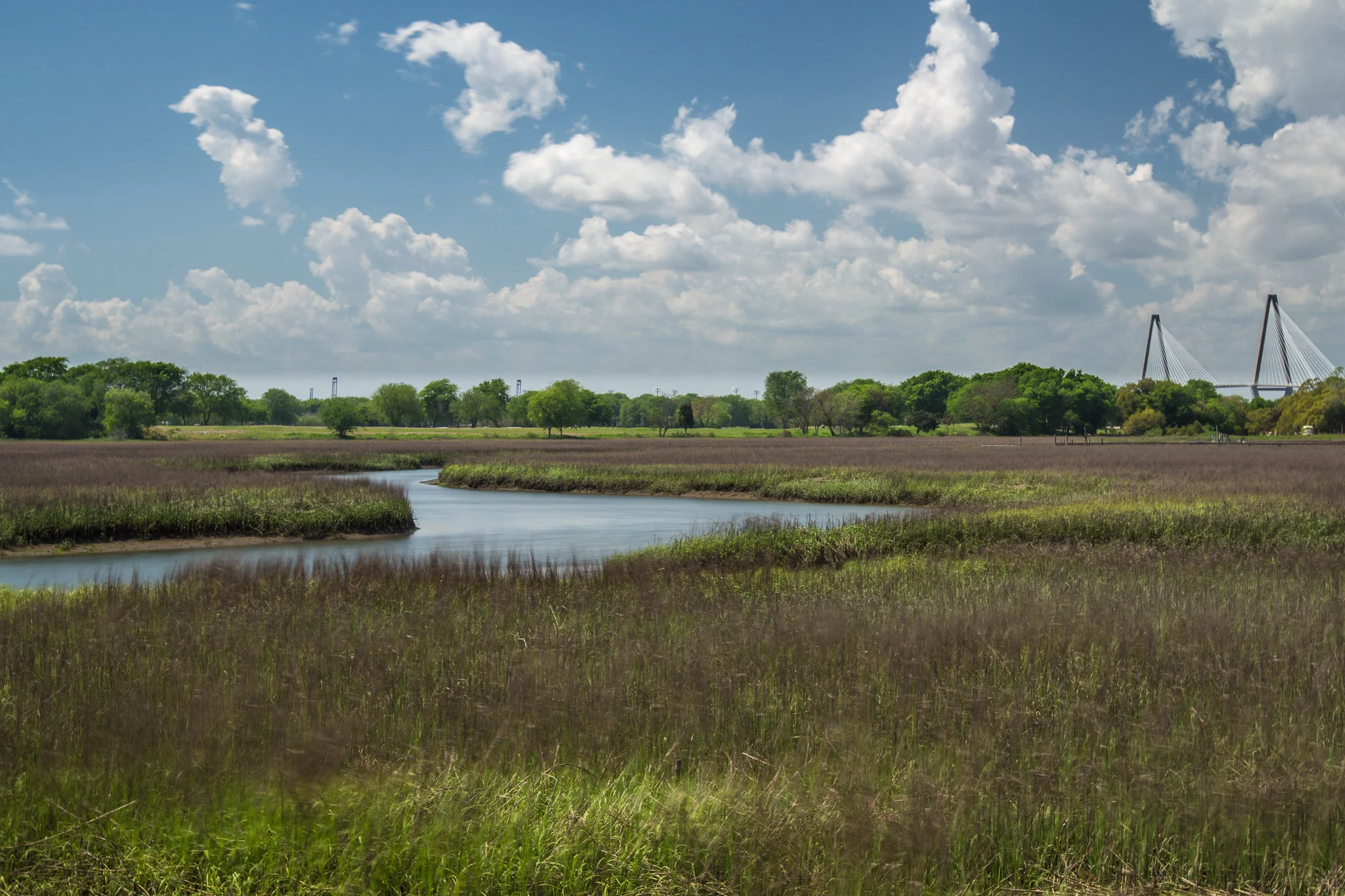 Shem Creek-0013.jpg