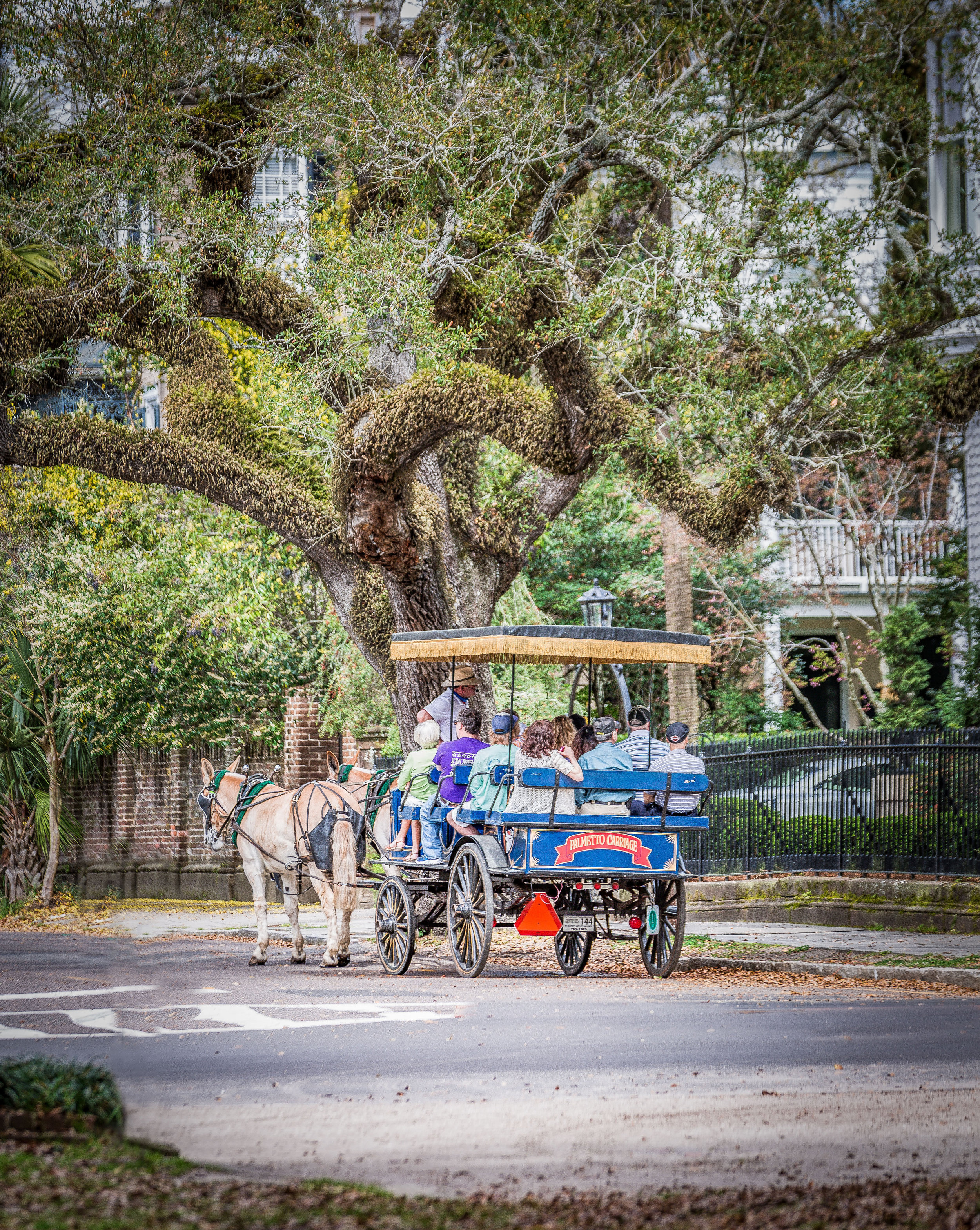 Downtown Charleston-0002.jpg