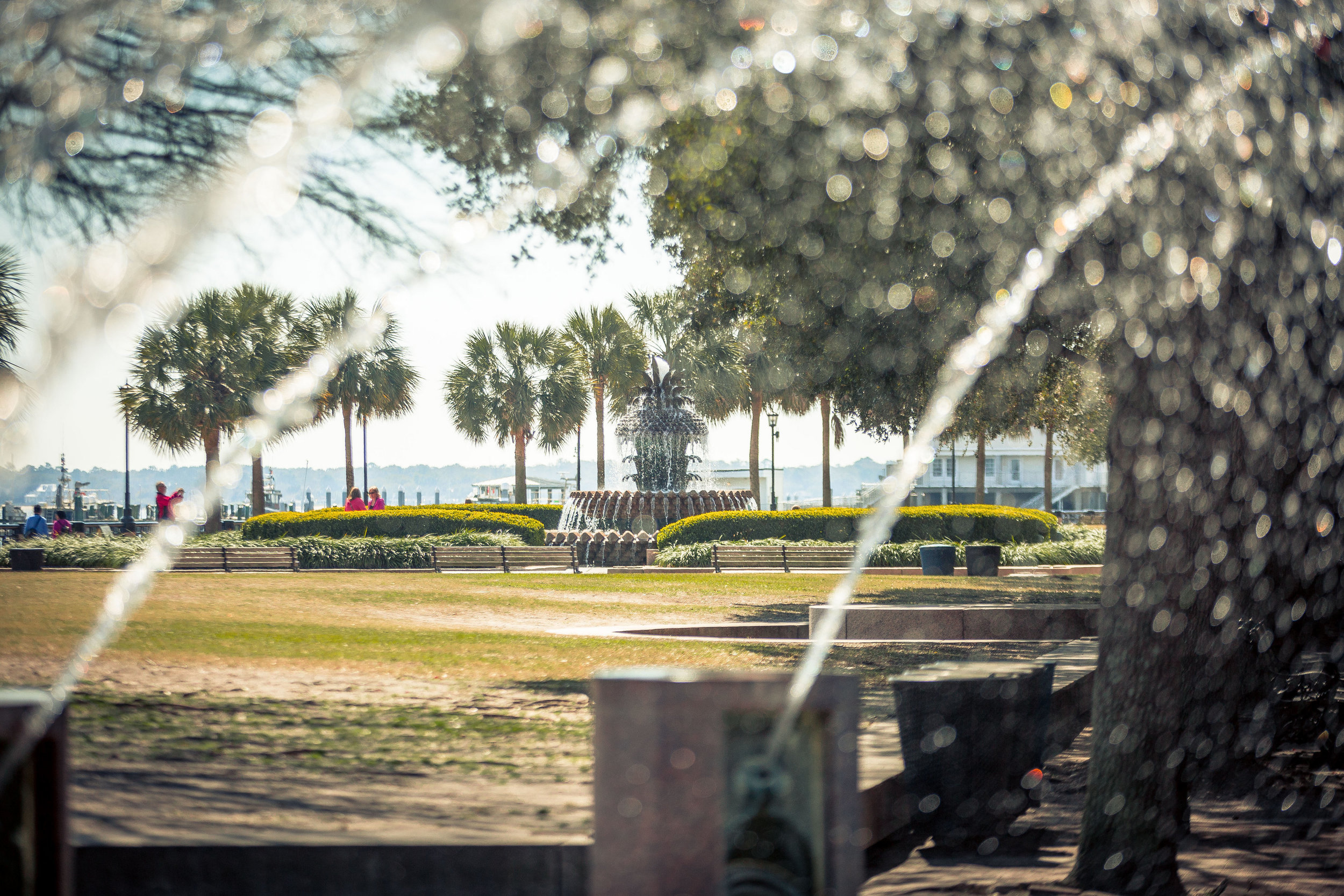 Downtown Charleston-0015.jpg