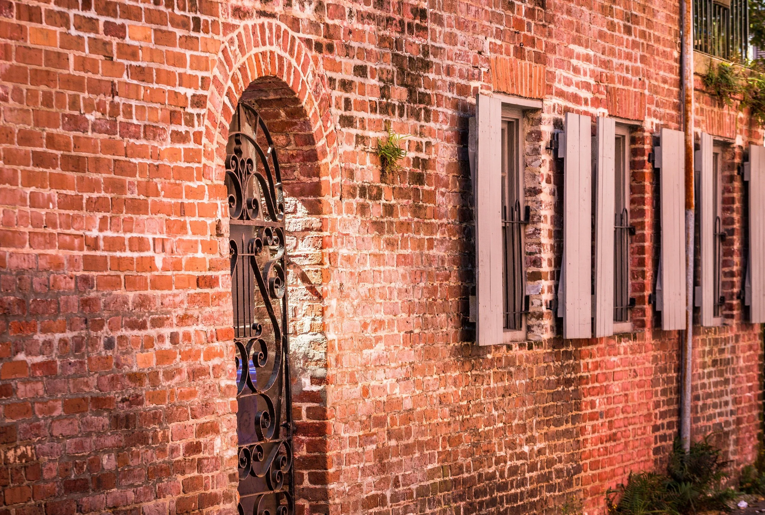 Downtown Charleston-0016.jpg