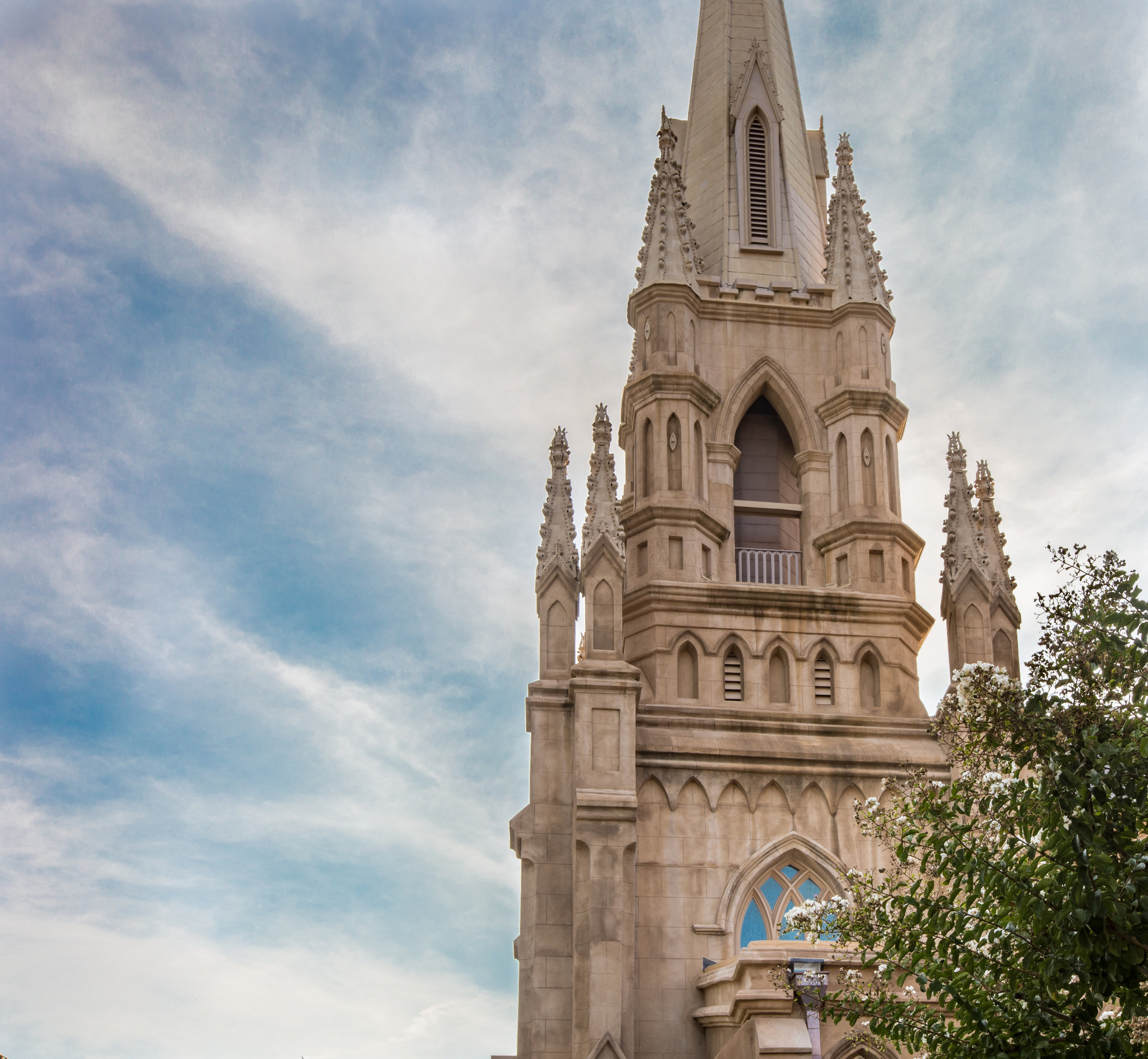 Downtown Charleston-0039.jpg