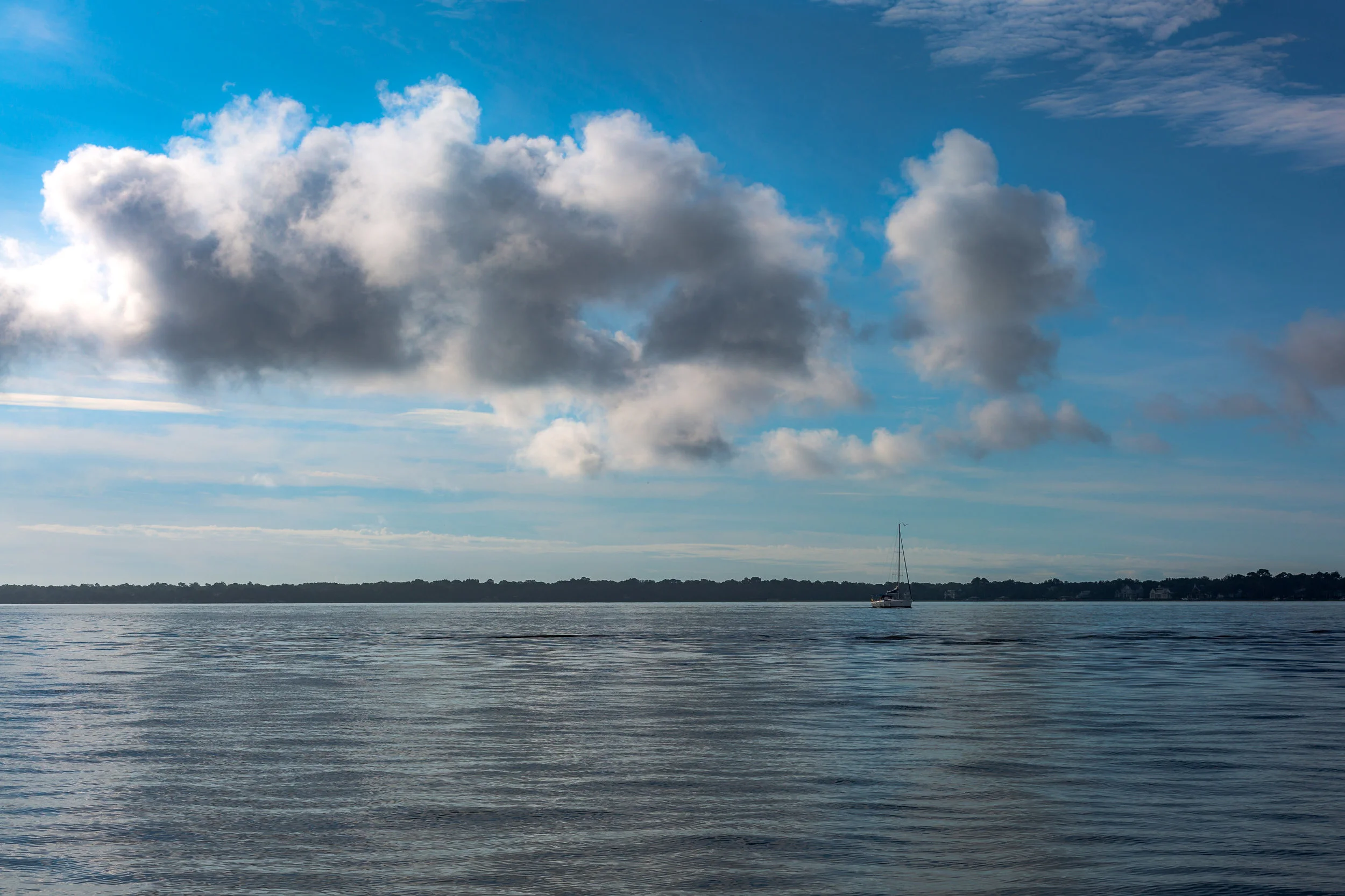 Downtown Charleston-0075.jpg