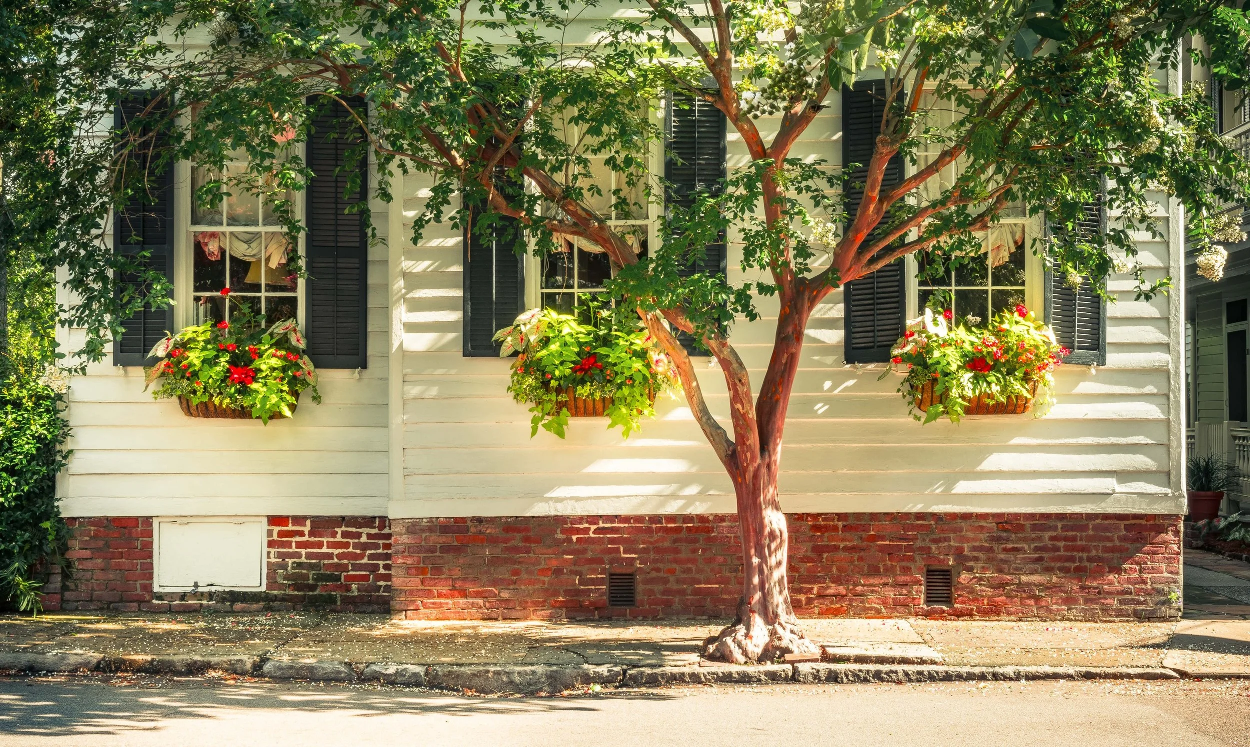 Downtown Charleston-0157.jpg