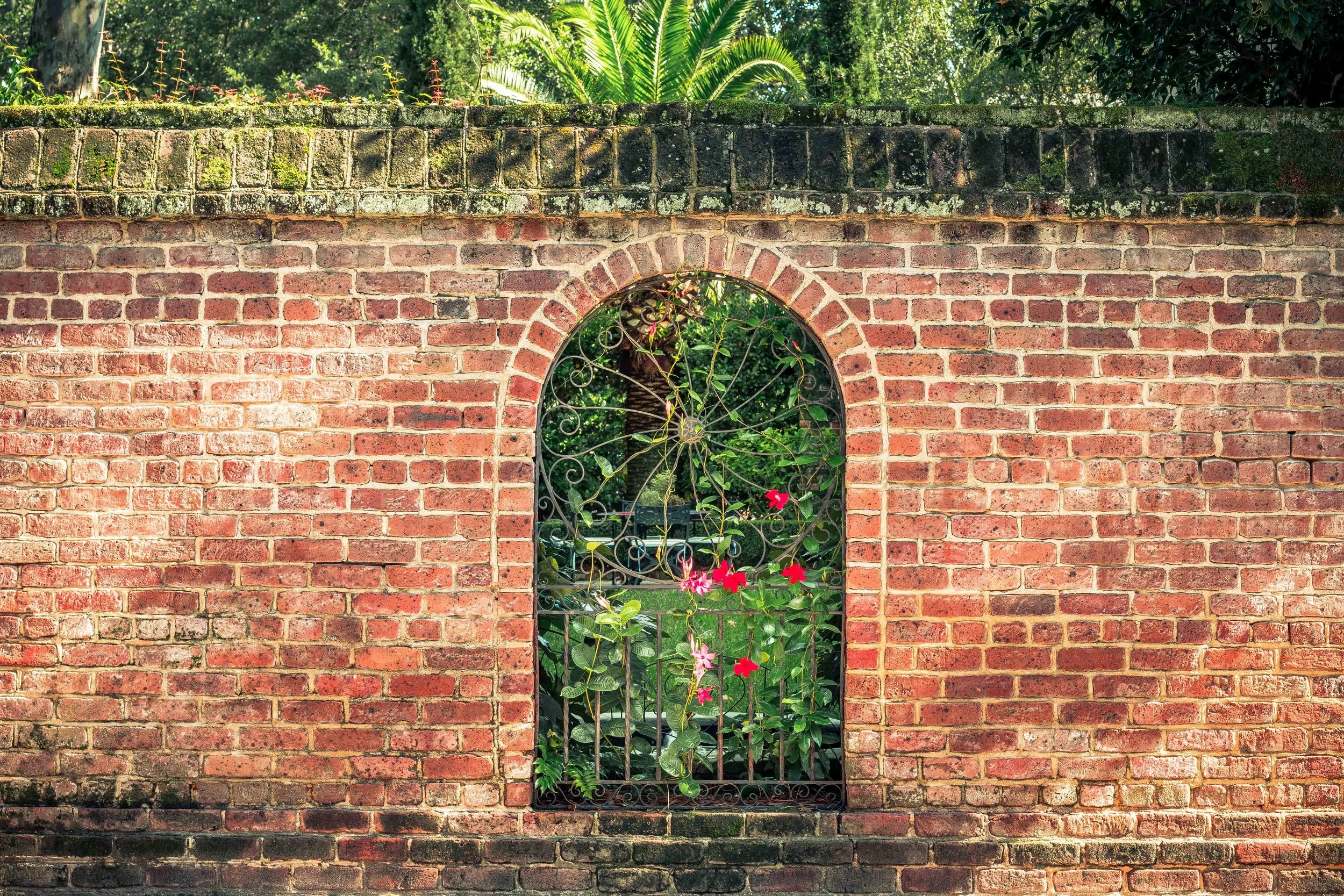 Downtown Charleston-0162.jpg