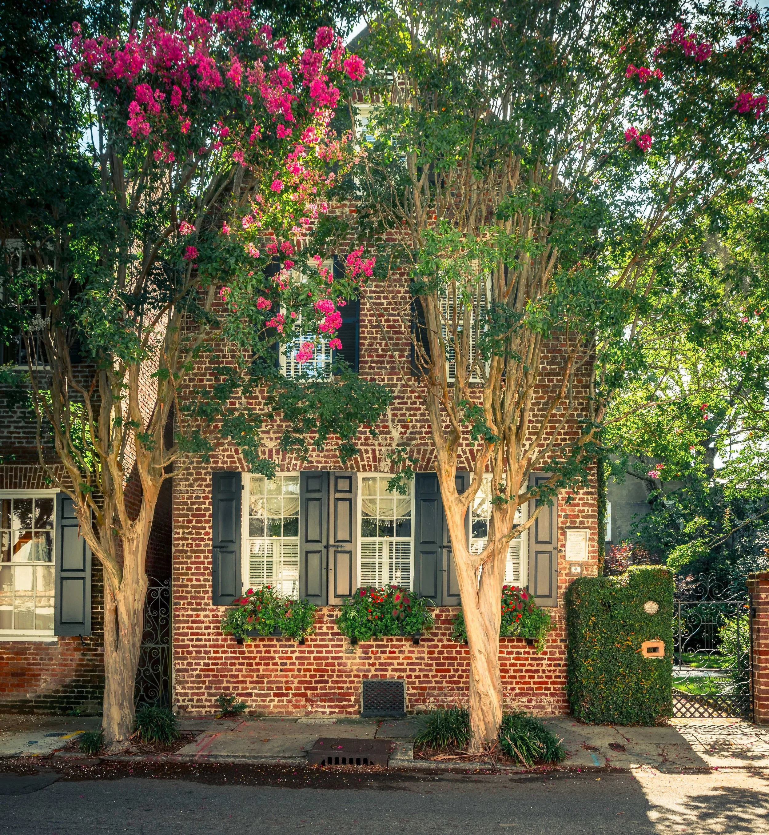 Downtown Charleston-0164.jpg