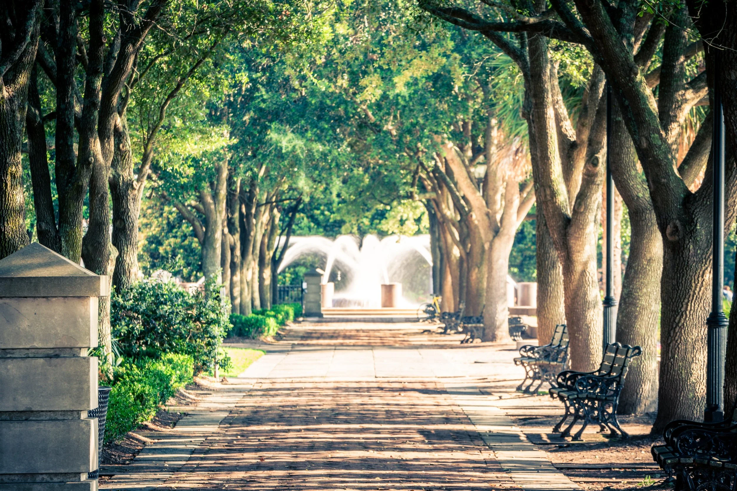 Downtown Charleston-0173.jpg