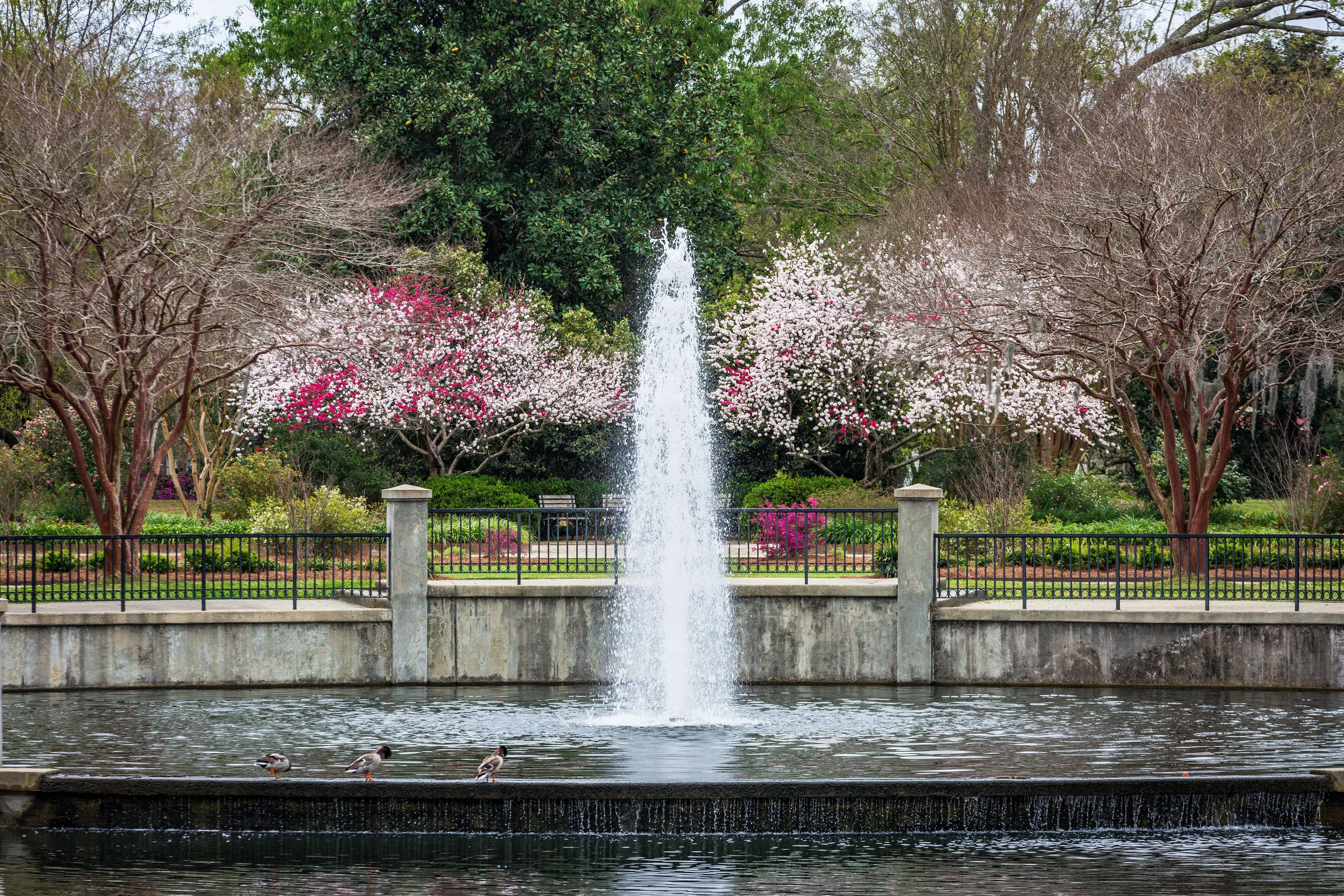 Hampton Park-0009.jpg